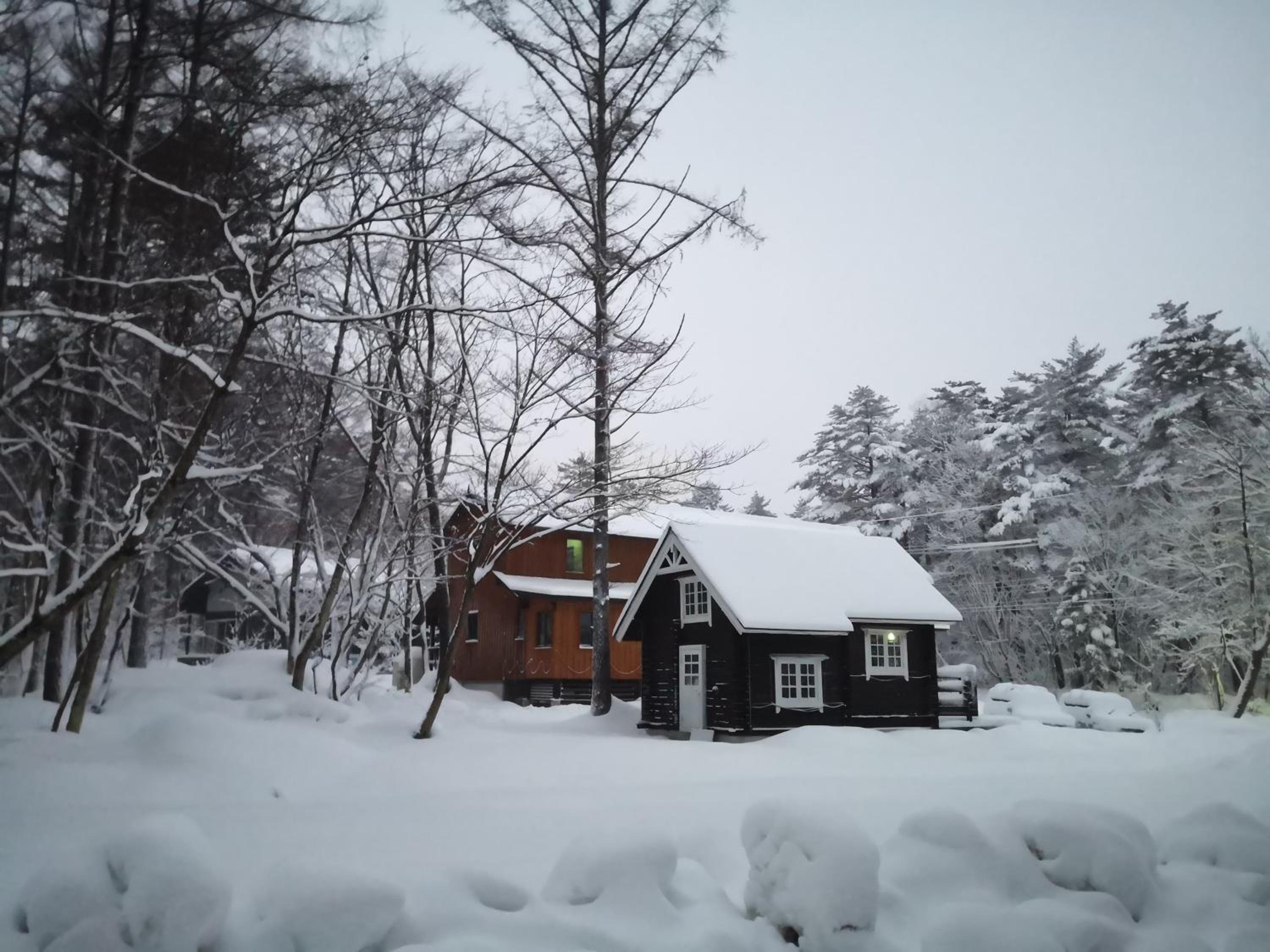 Beaver Lodge Hakuba
