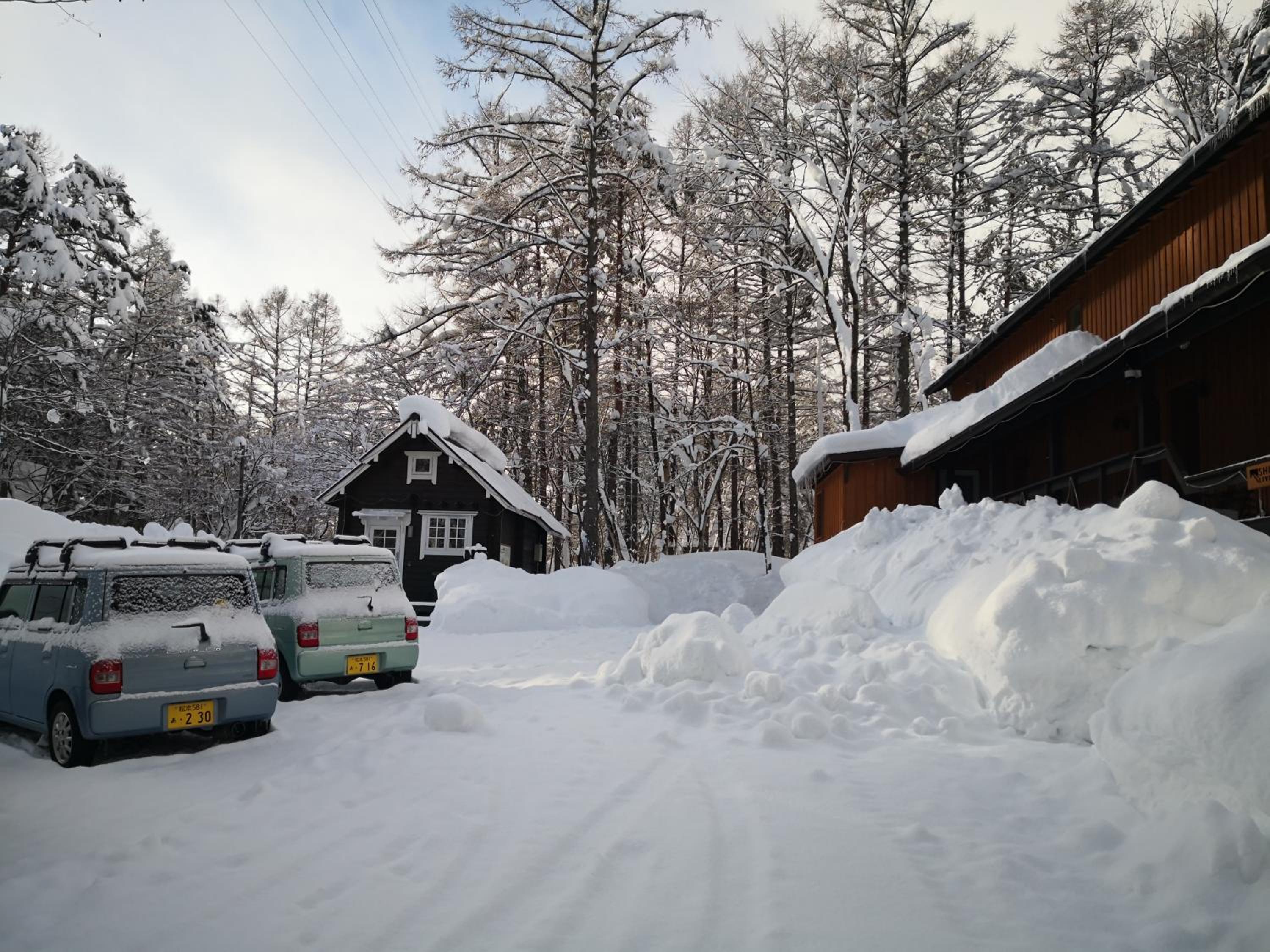 Beaver Lodge Hakuba