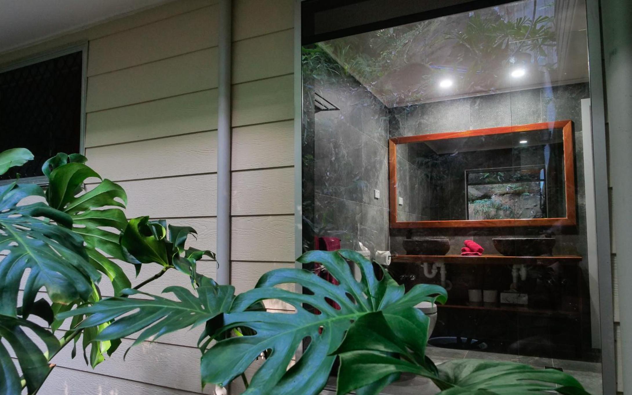 Daintree Secrets Rainforest Sanctuary