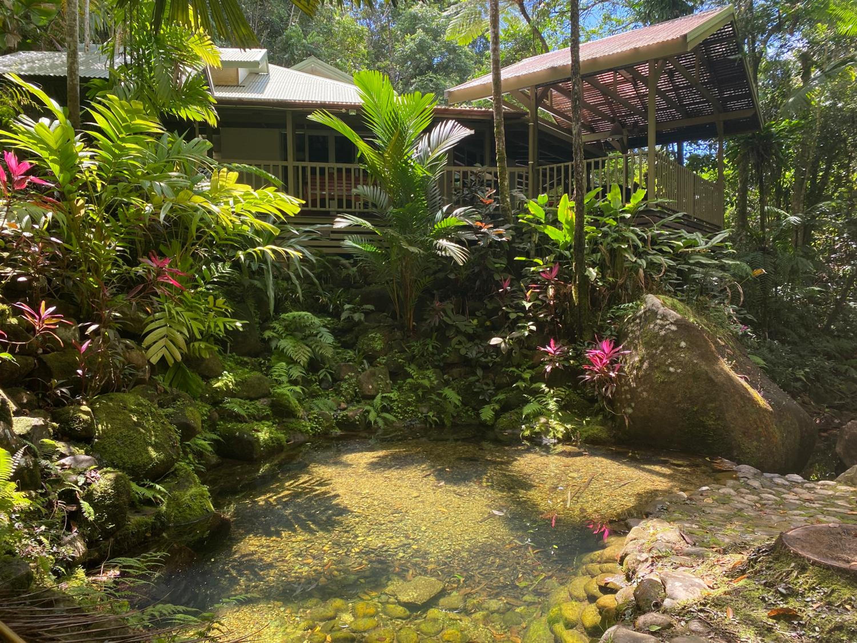 Daintree Secrets Rainforest Sanctuary