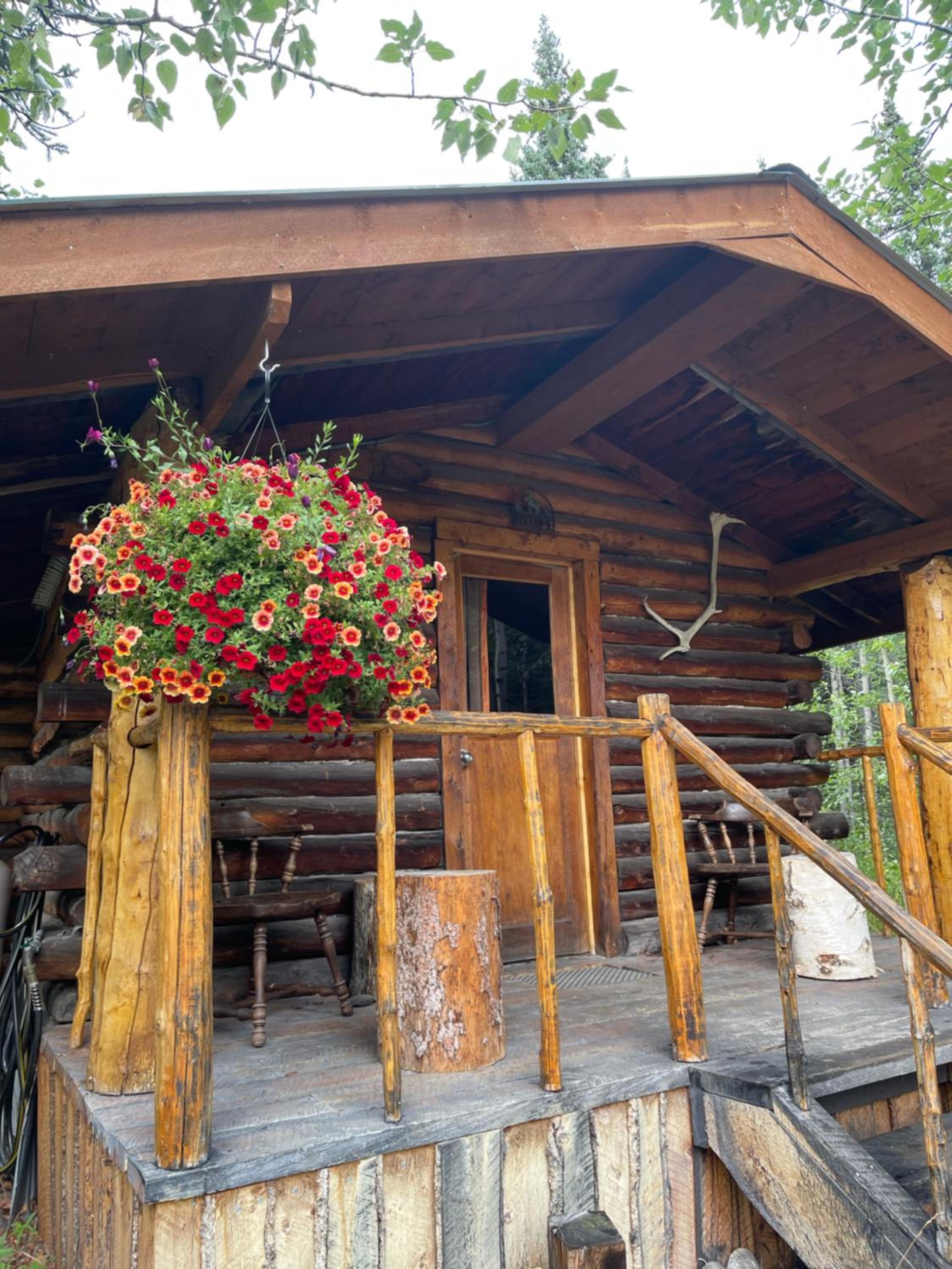 Carlo Creek Cabins view 3