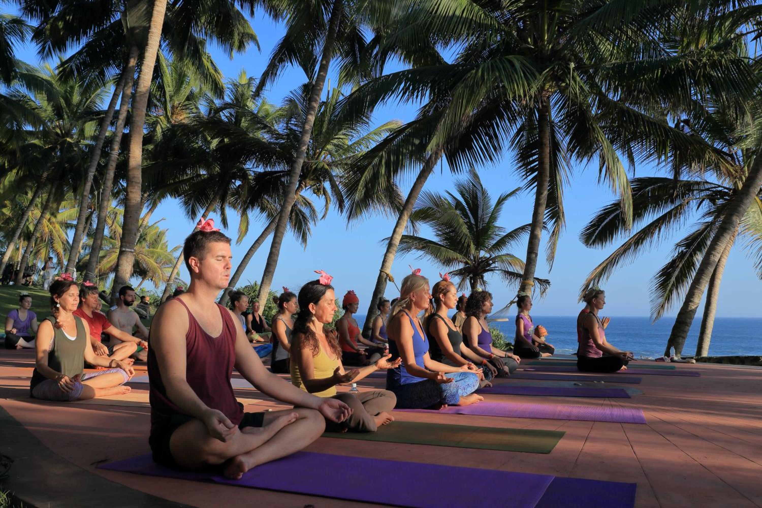 Kovalam Vacations - Soma Manaltheeram Ayurveda BeachVillage - Property Image 24