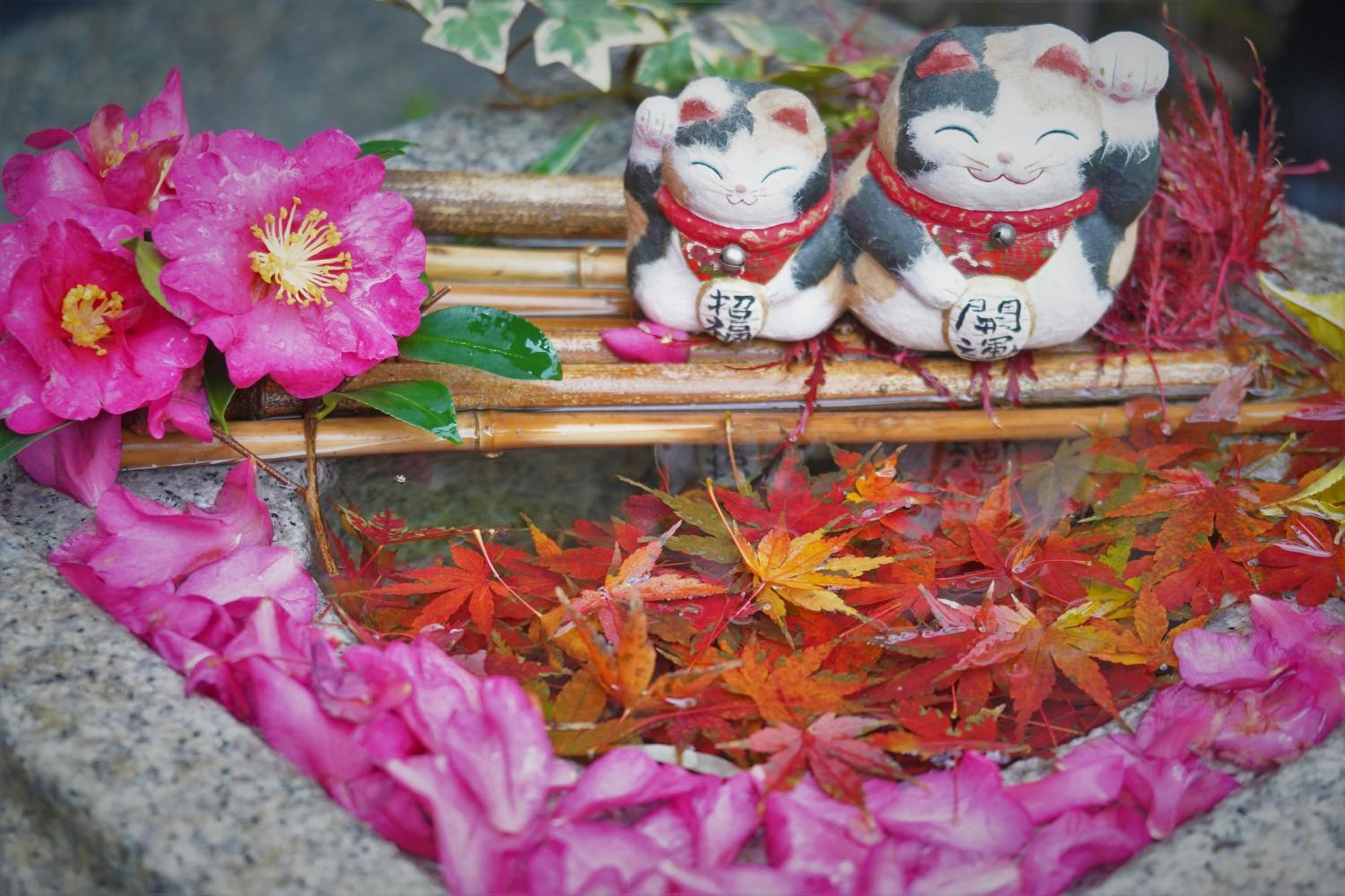 Ryokan Shimizu