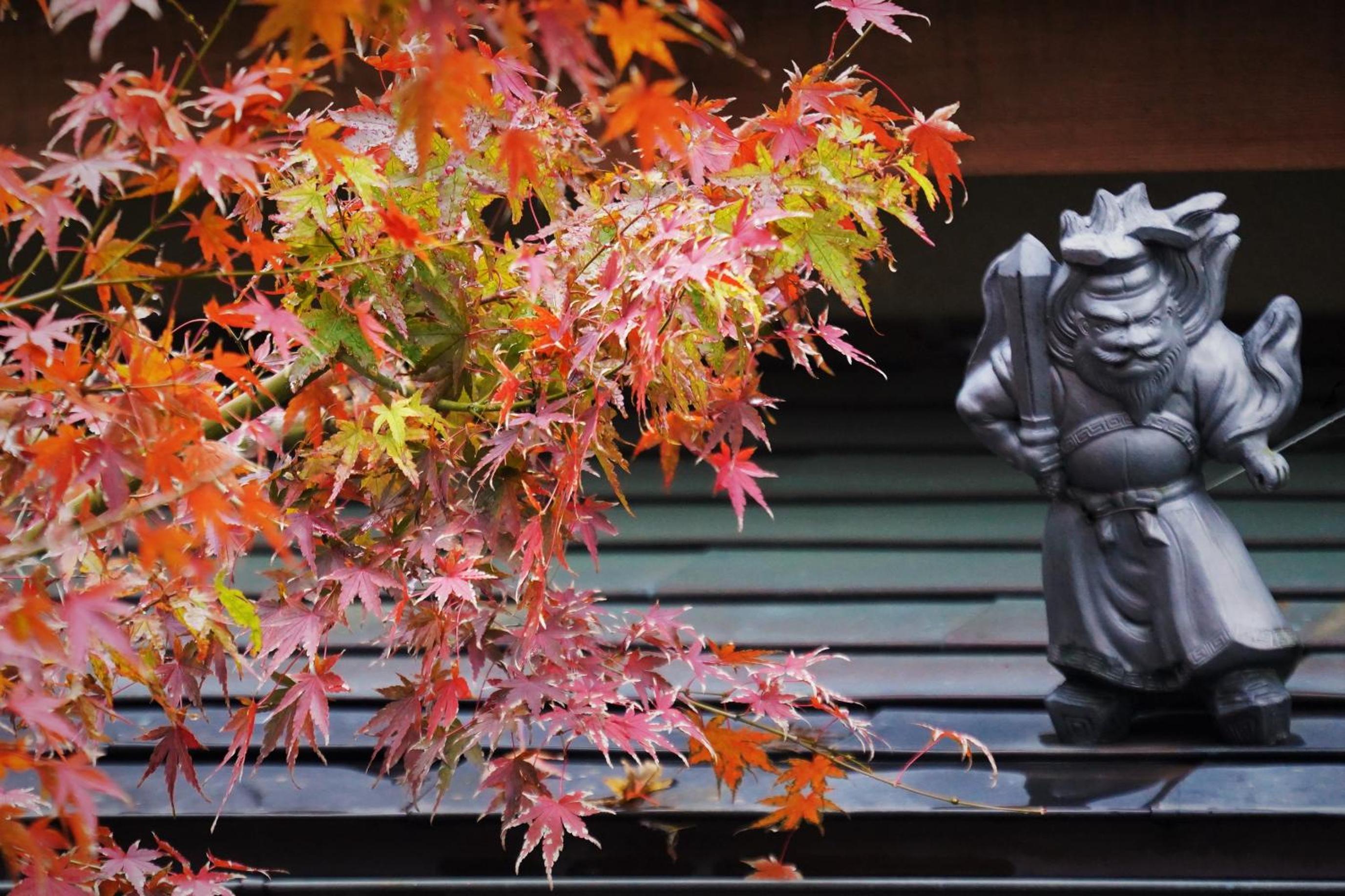 Ryokan Shimizu