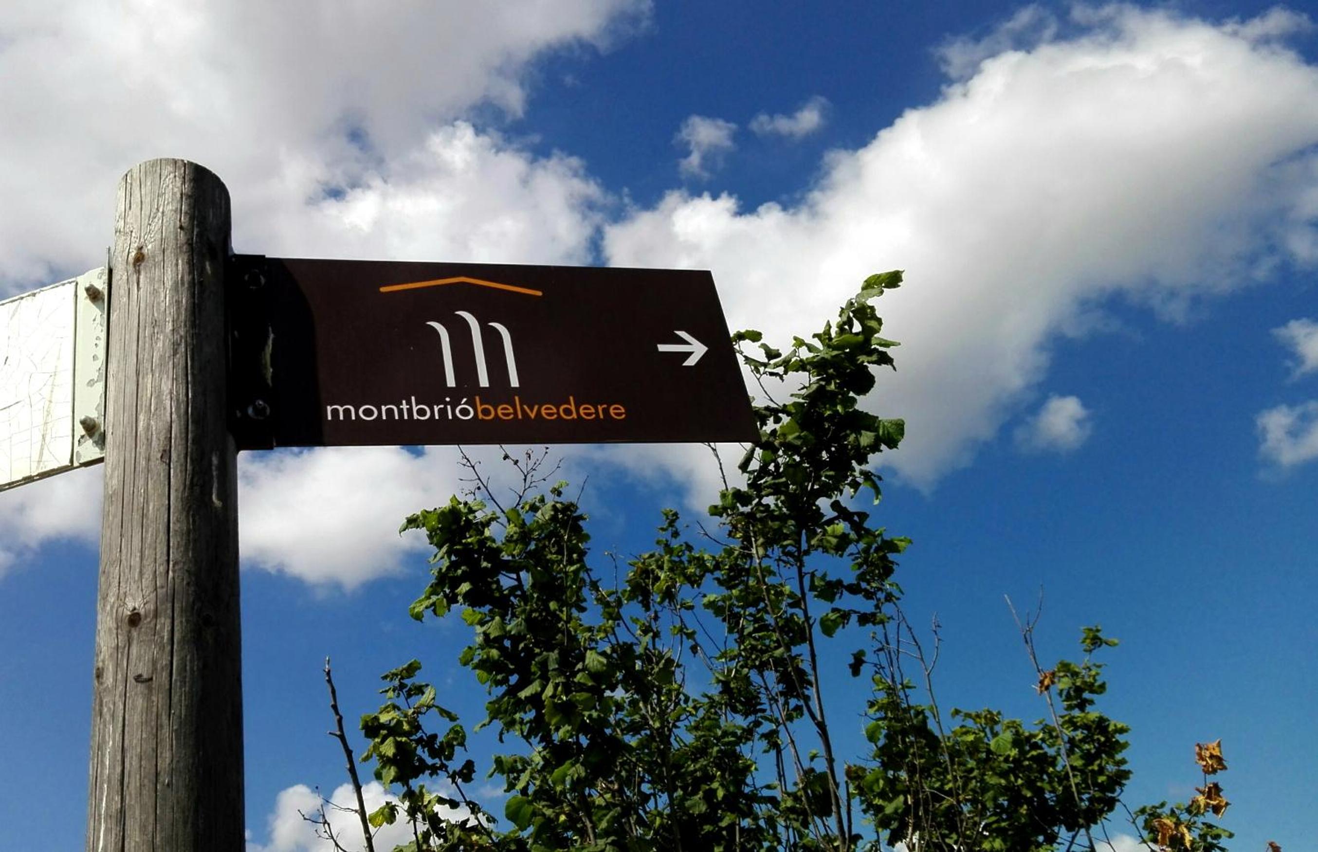 Mas Montbrio Belvedere