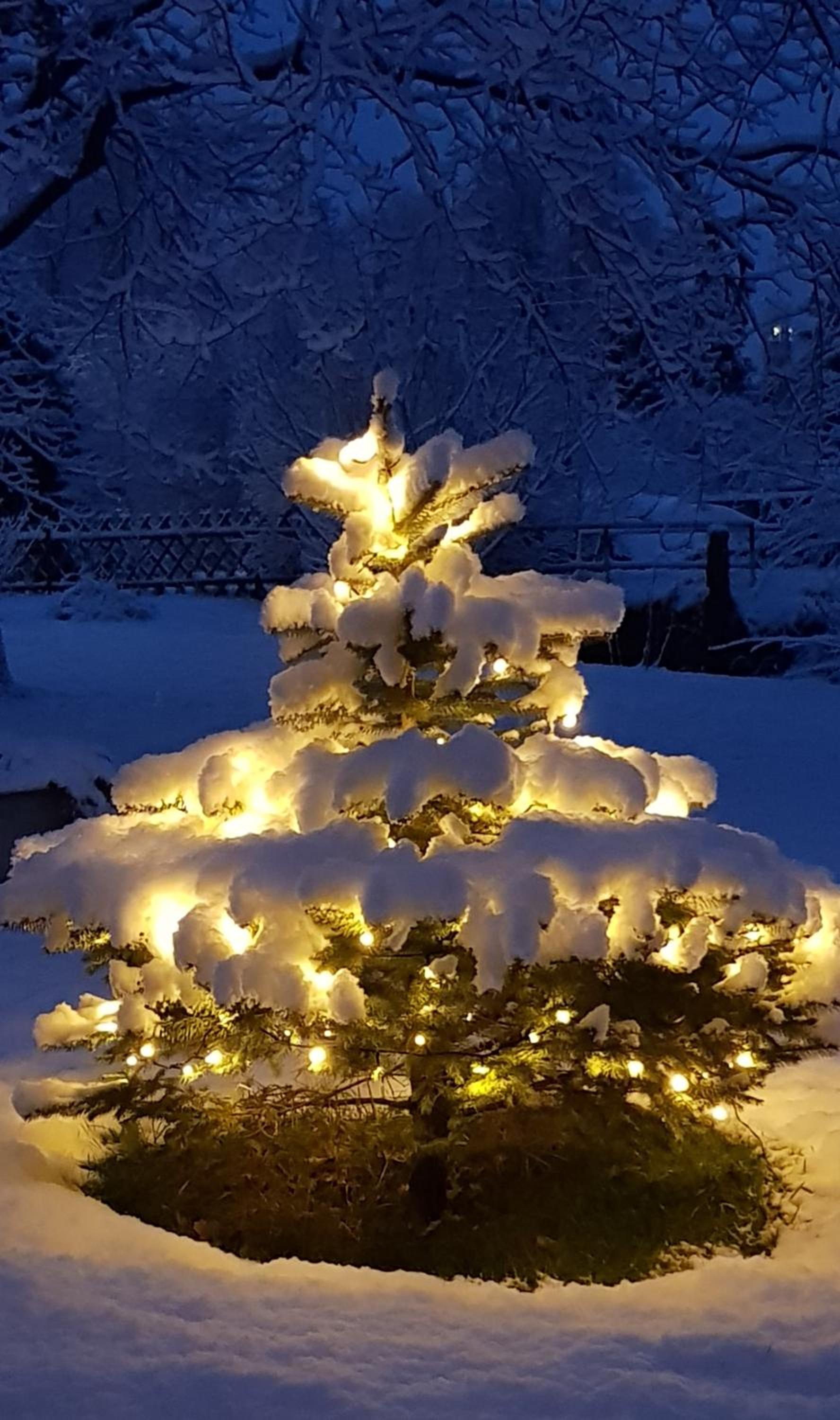 Photo 41