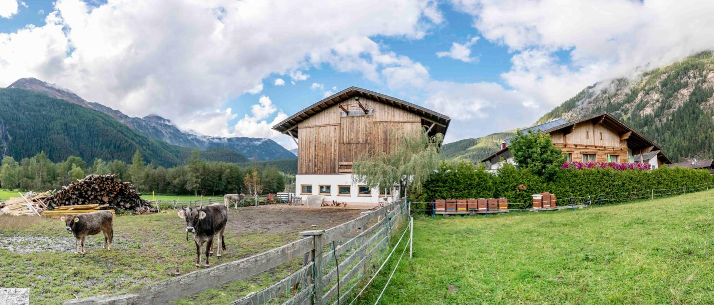 Honzarhof