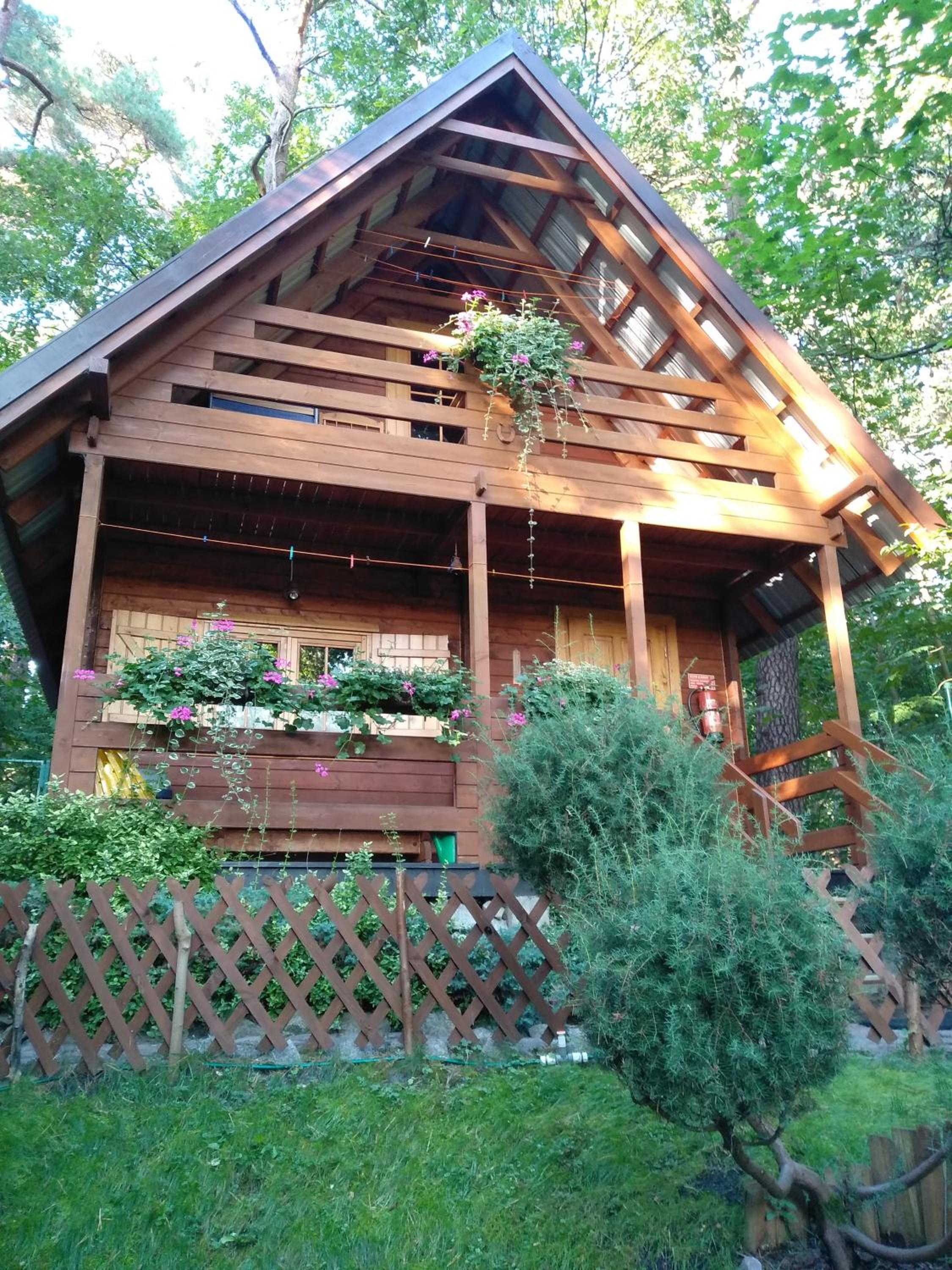 Photo 26