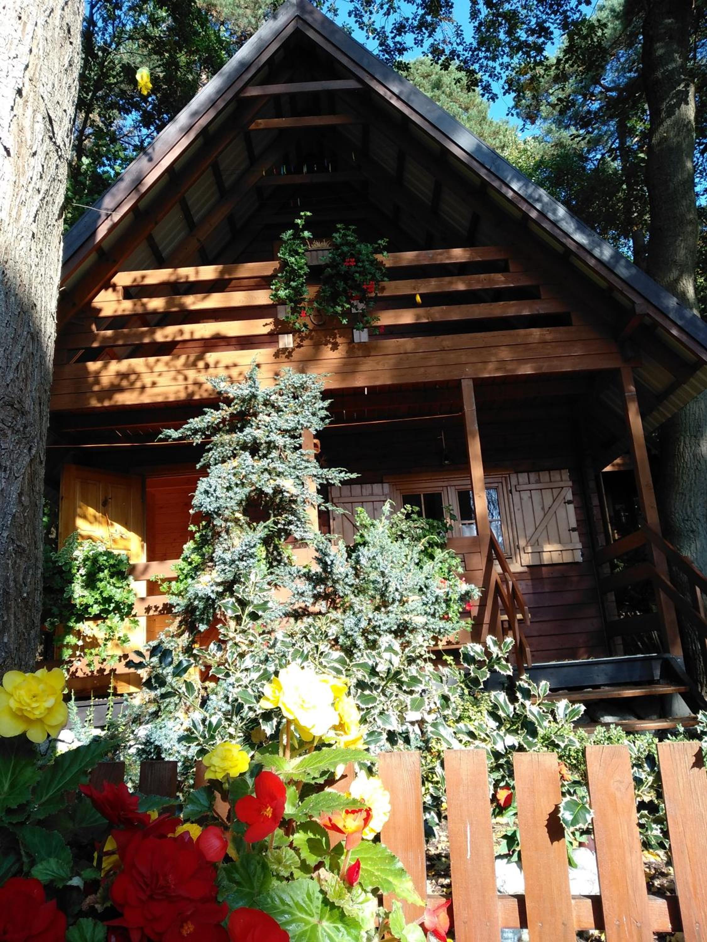 Photo 28