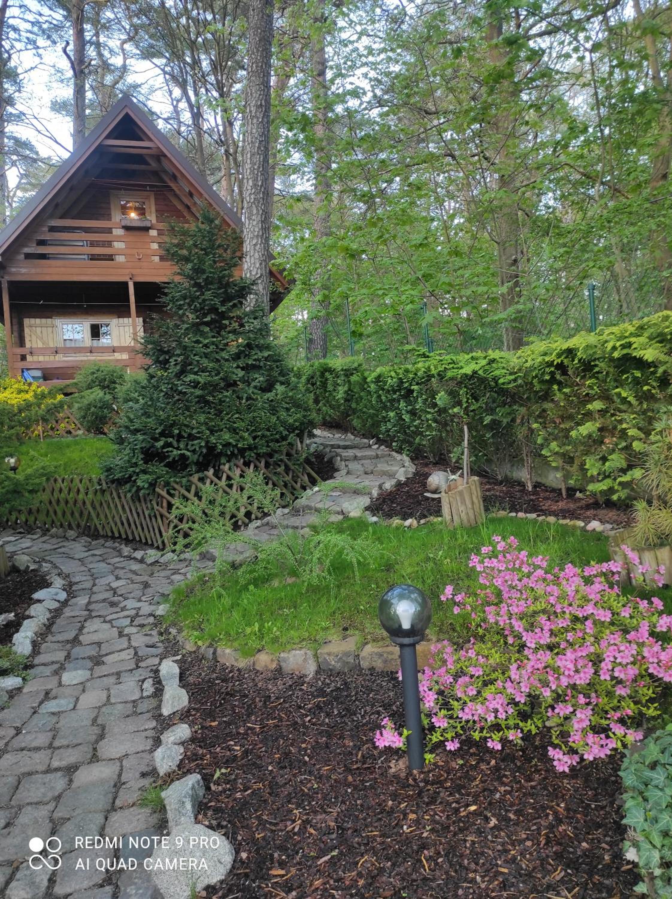 Photo 31