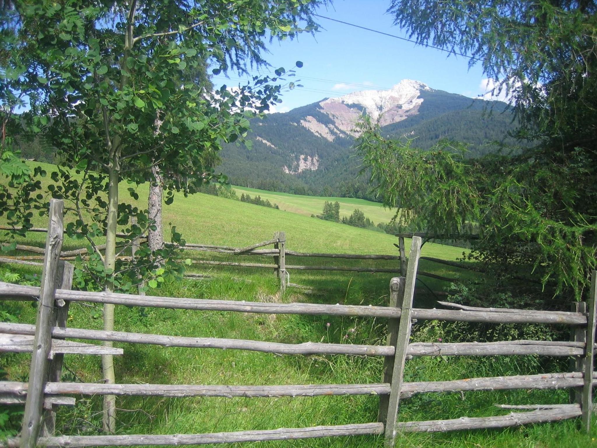 Photo 44