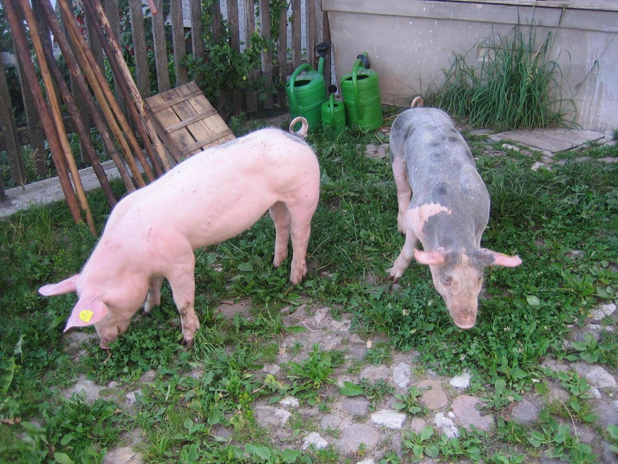 Photo 24