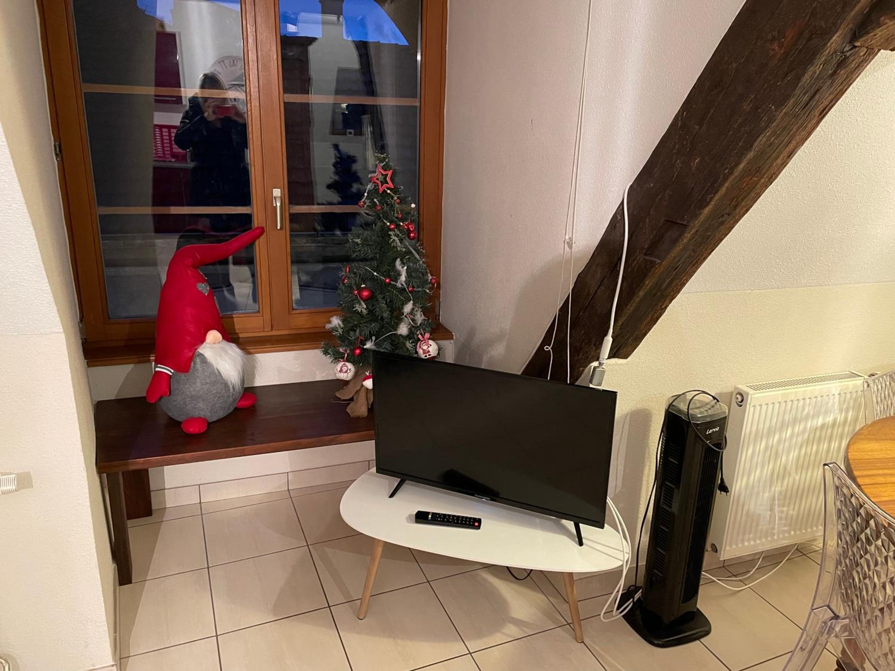 Gite de l'Oncle Hansi view 5