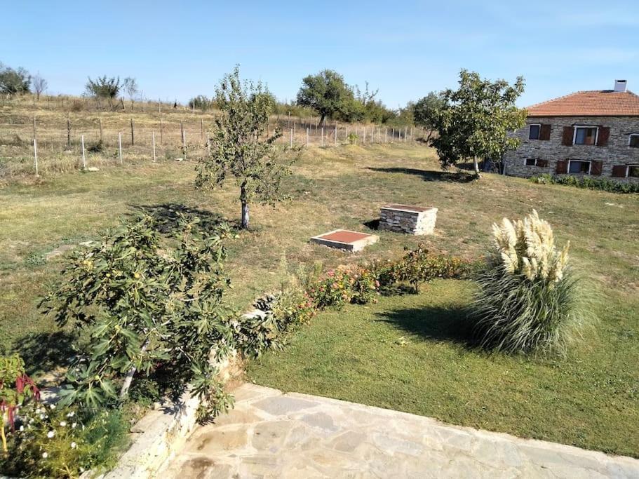 Casa Lambuh