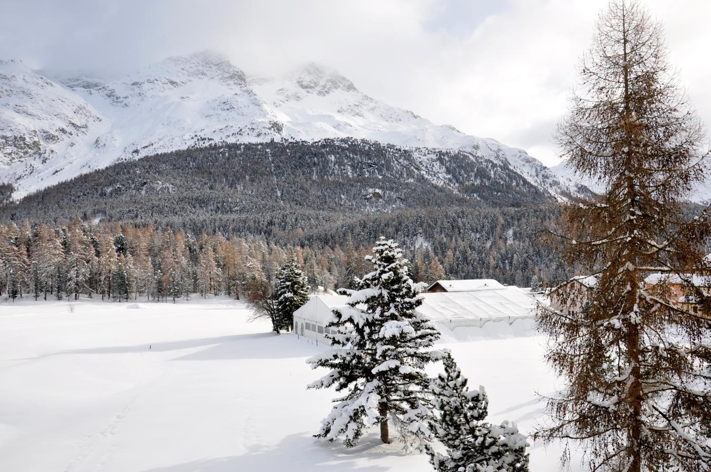 Cosy Apartment facing Piz Rosatsch