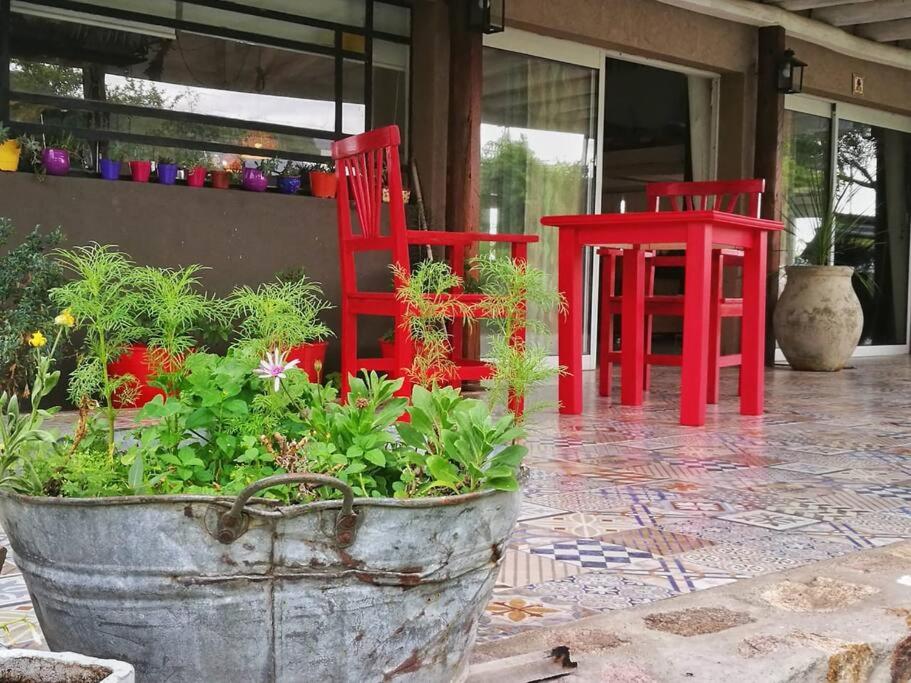 LOFT DE MONTAÑA -LaS RABONAS - PISCINA EXCLUSIVA