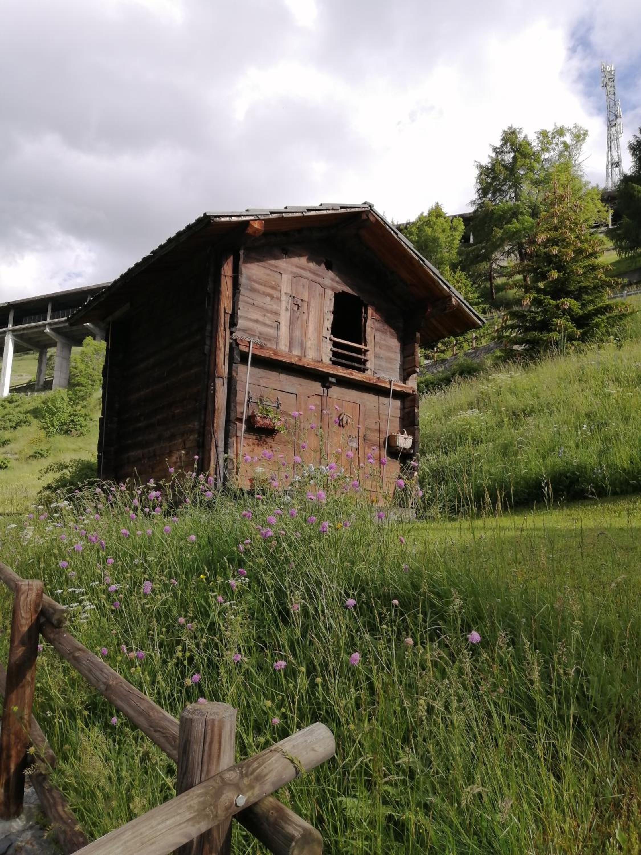 Photo 50