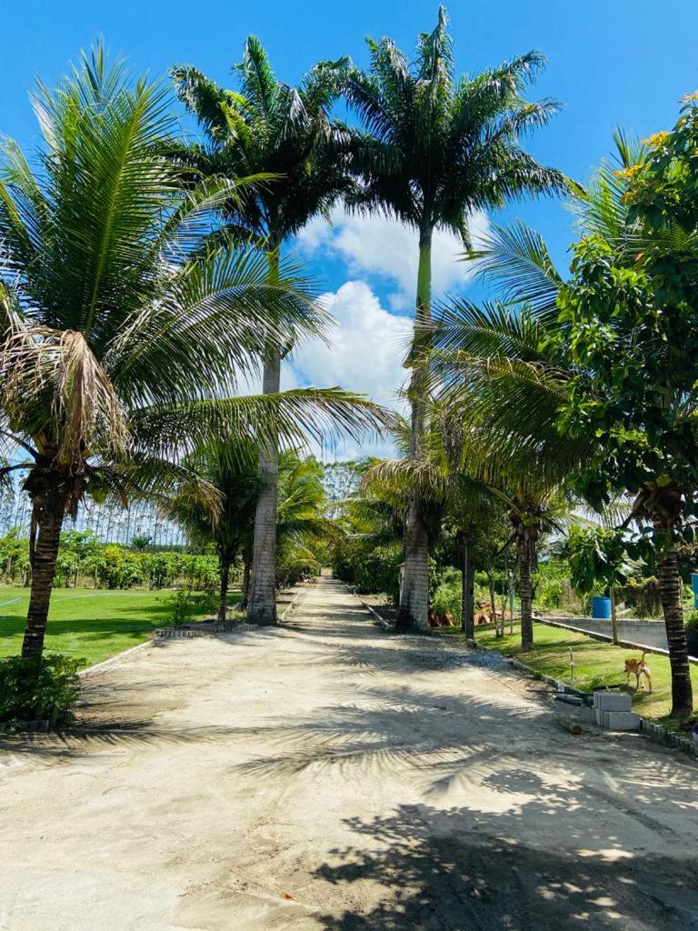 Sitio Barth