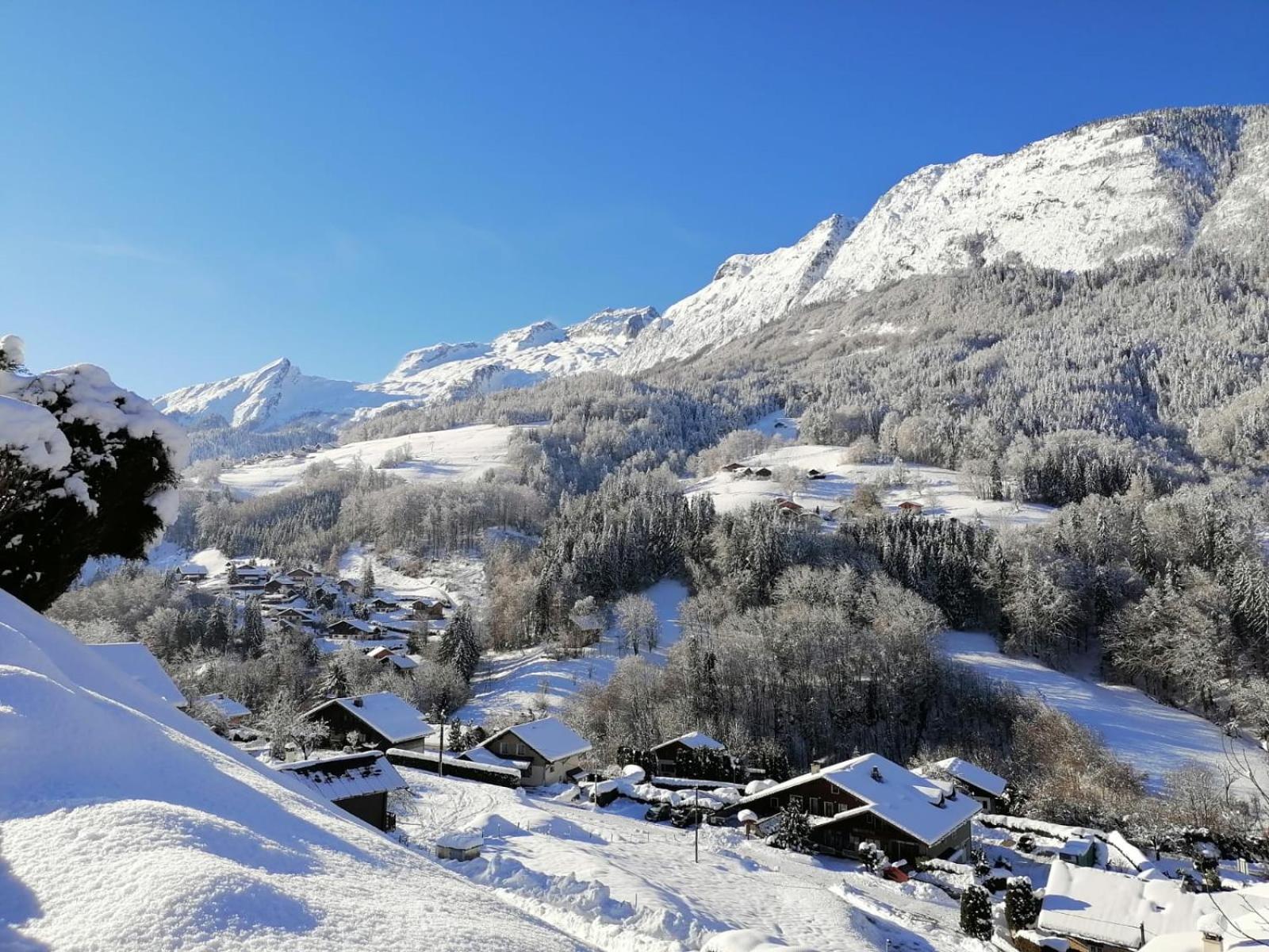 Auberge Du Fraizier view 5