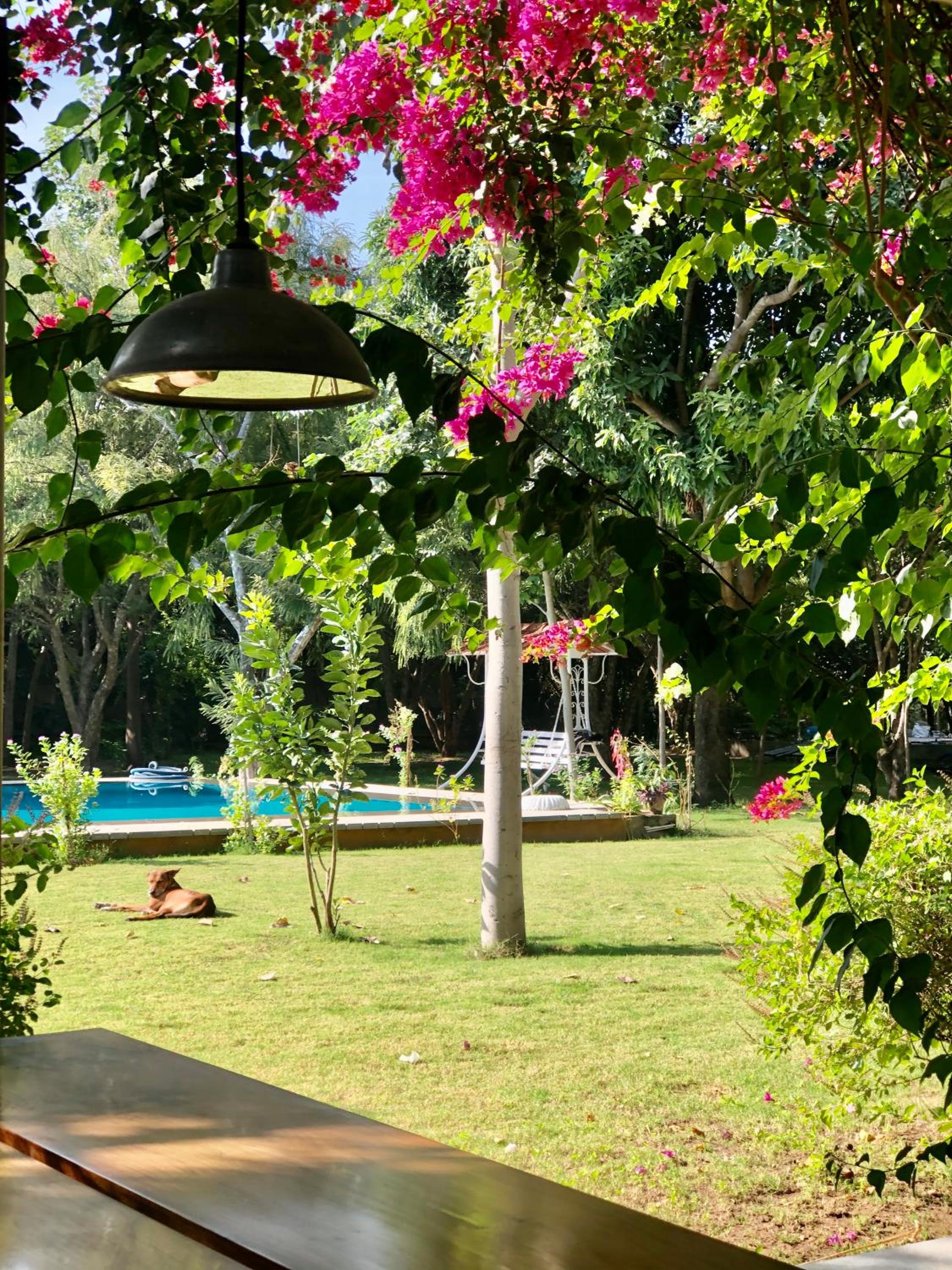 Lobby & Reception
