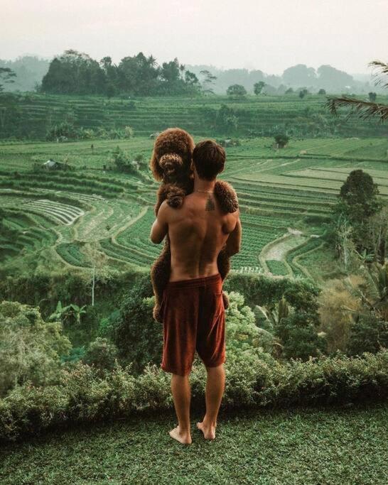 Magic Hills Bali - Magical Eco-Luxury Lodge view 2