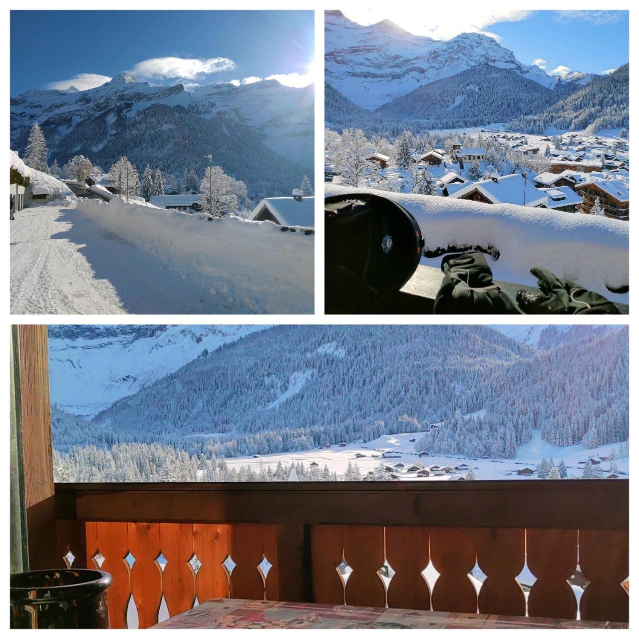 Studio avec vue splendide sur les Diablerets