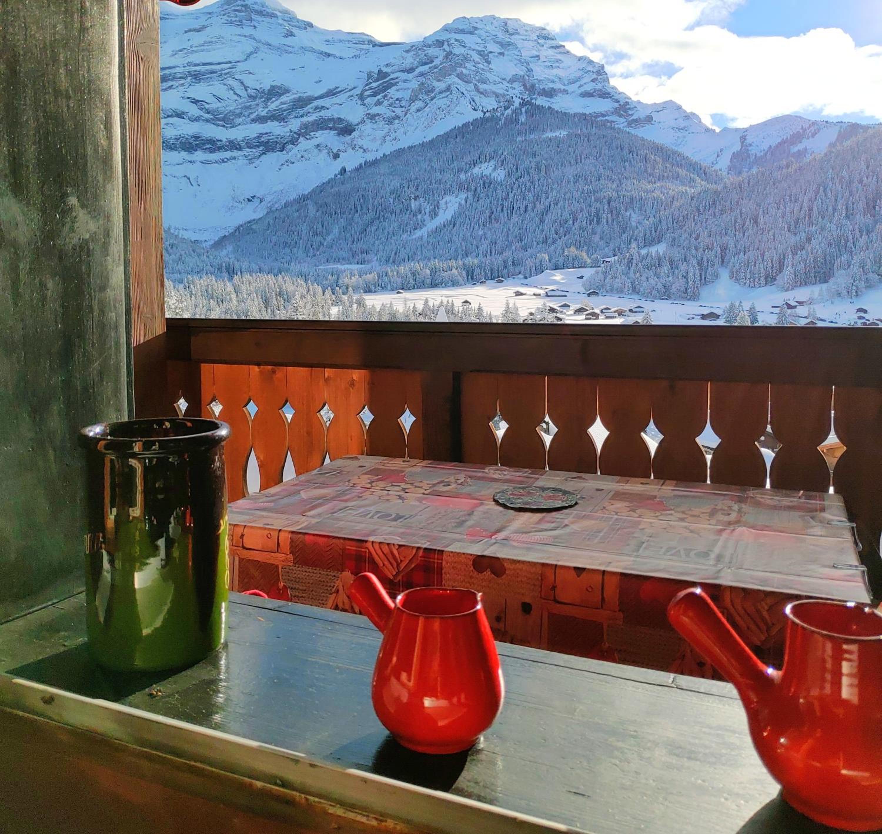 Studio avec vue splendide sur les Diablerets