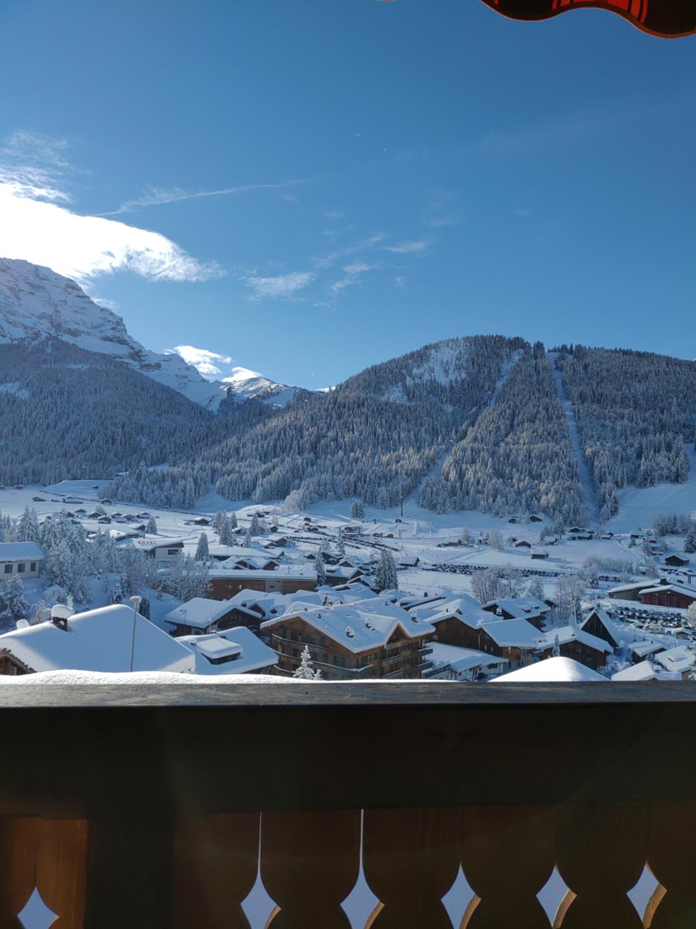 Studio avec vue splendide sur les Diablerets