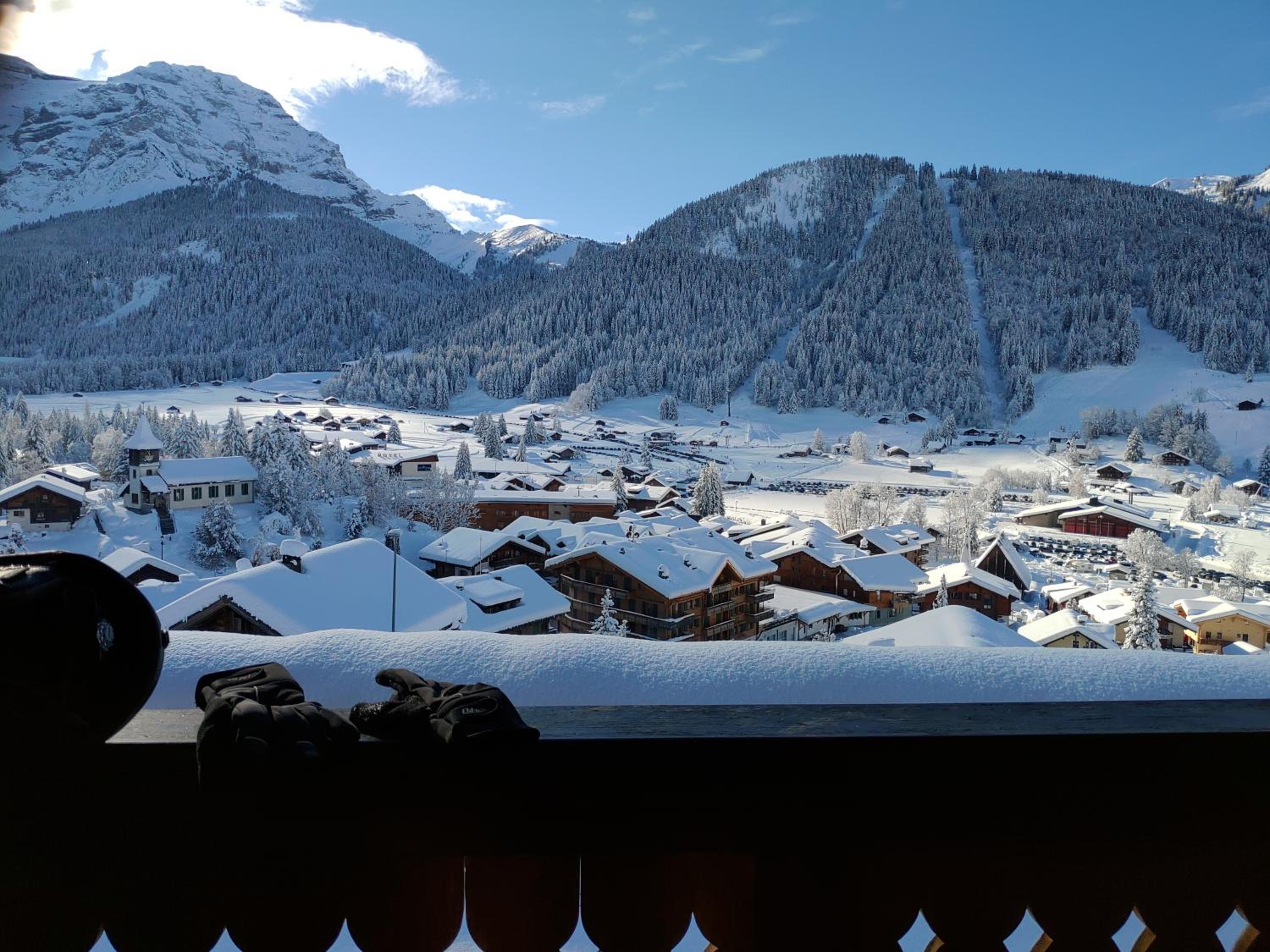 Studio avec vue splendide sur les Diablerets
