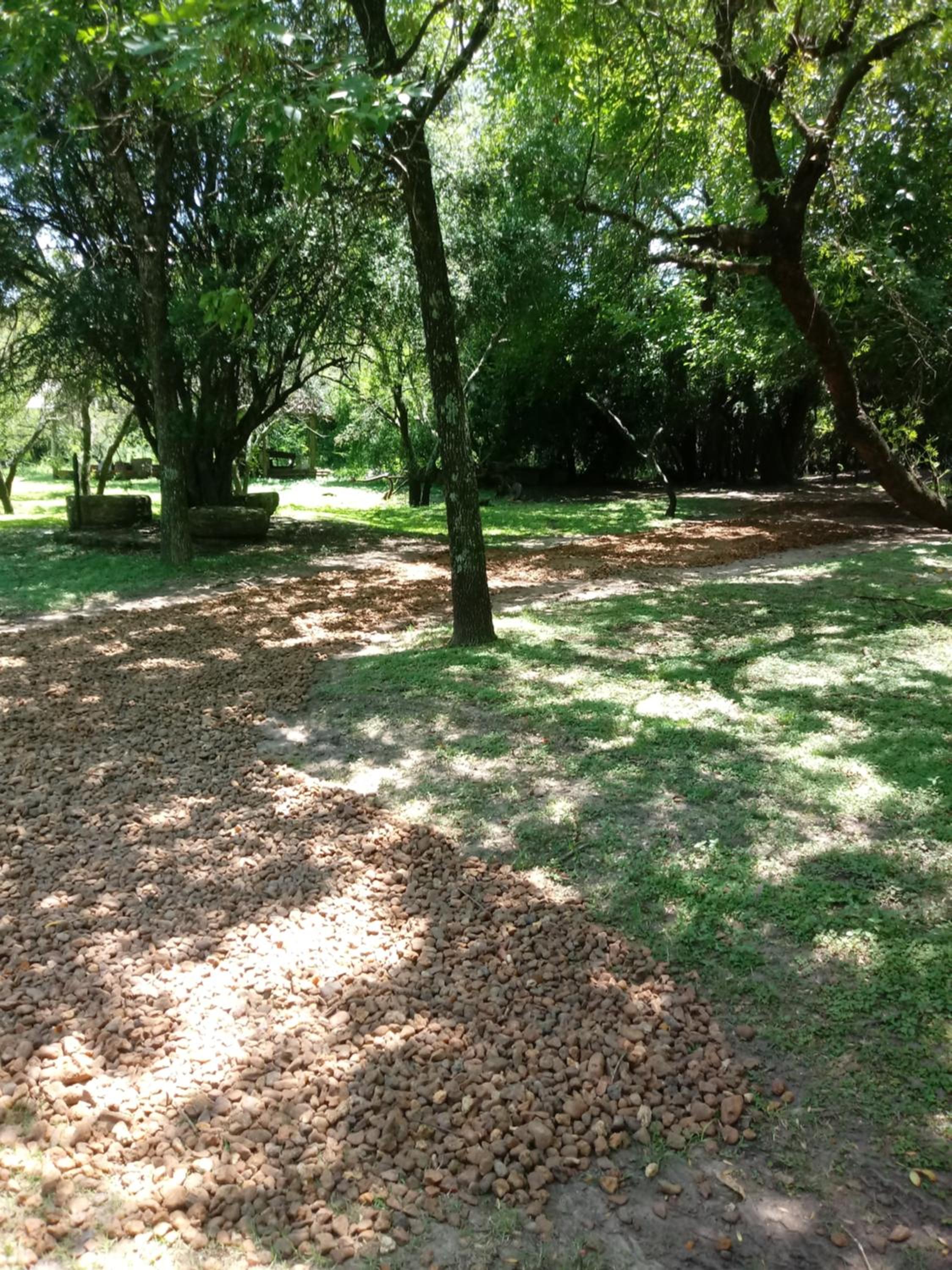 CASA-BOSQUE-ARROYO