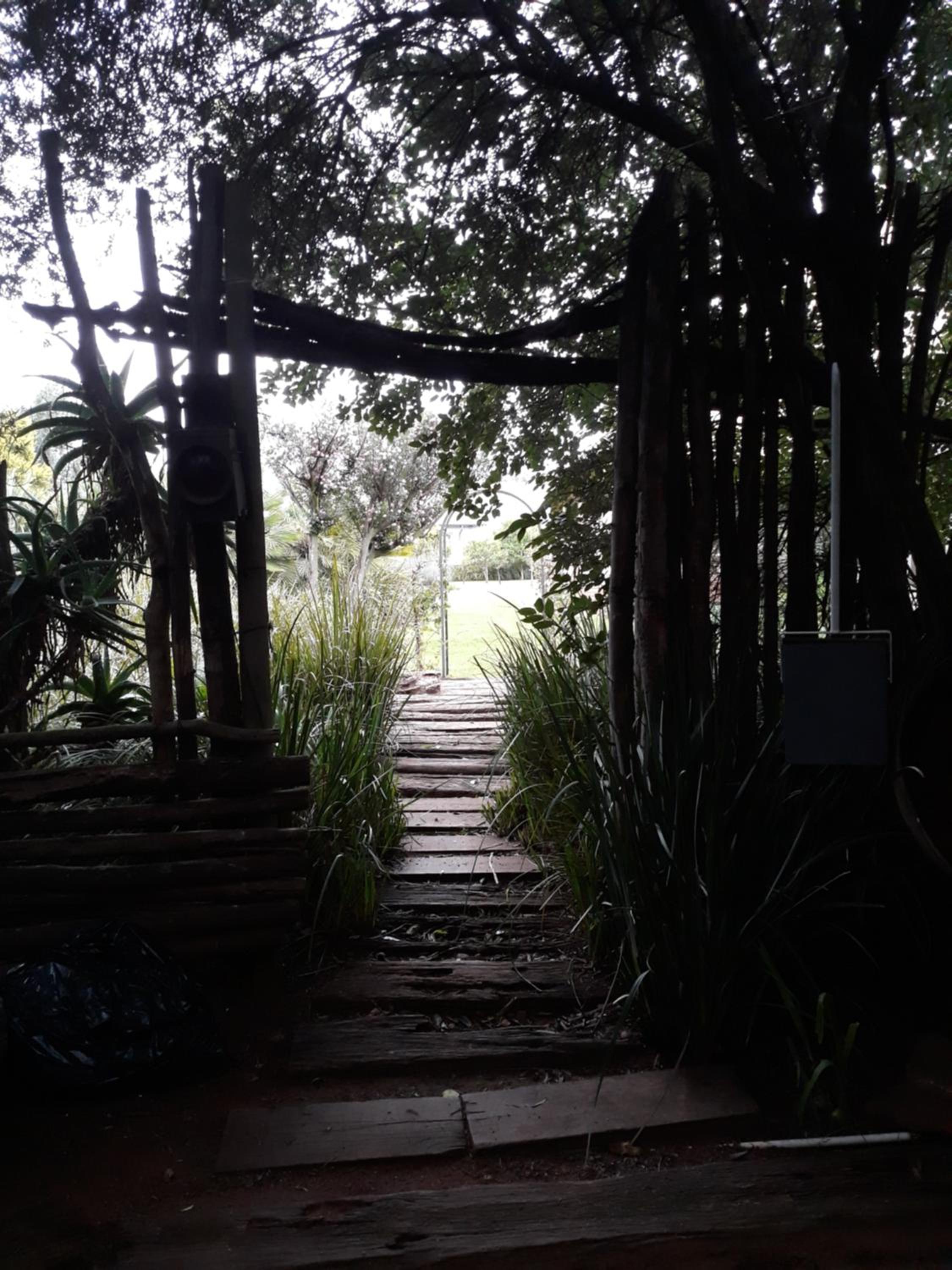 Photo 18