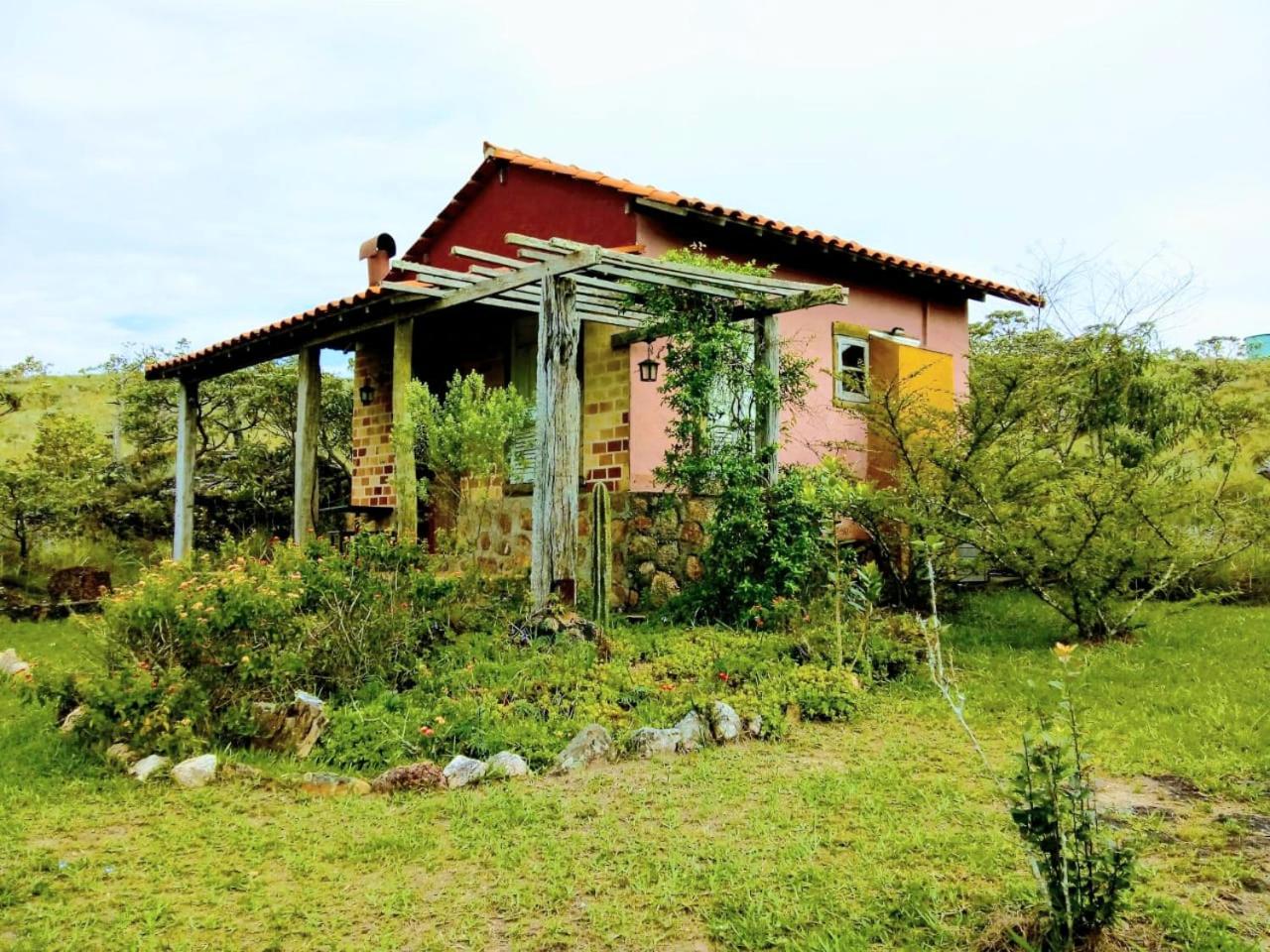 Photo 25
