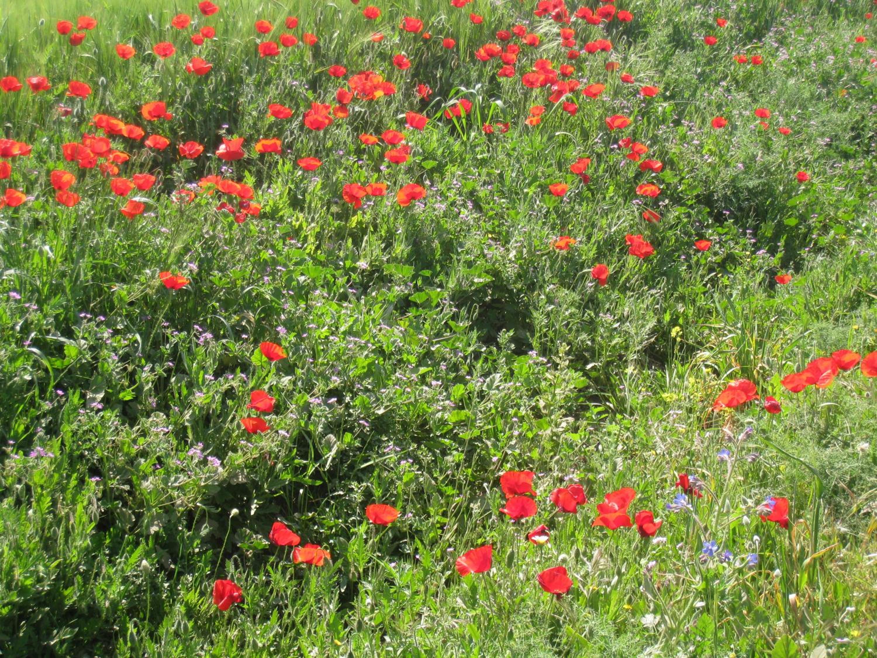 Photo 26