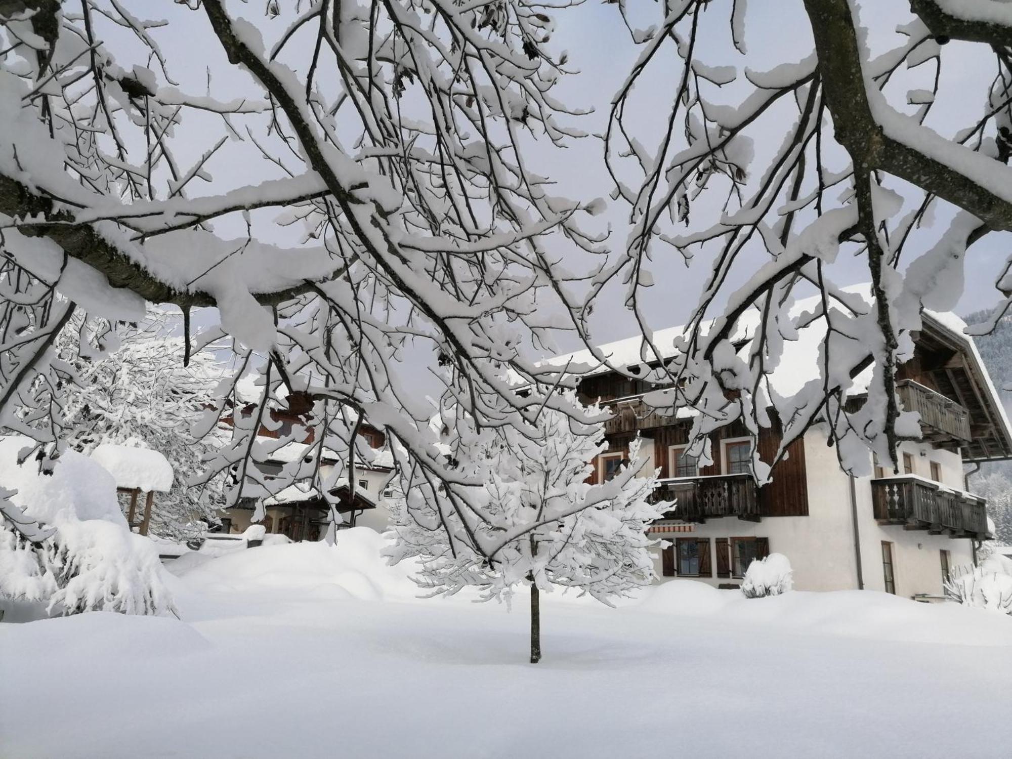 Schullerhof