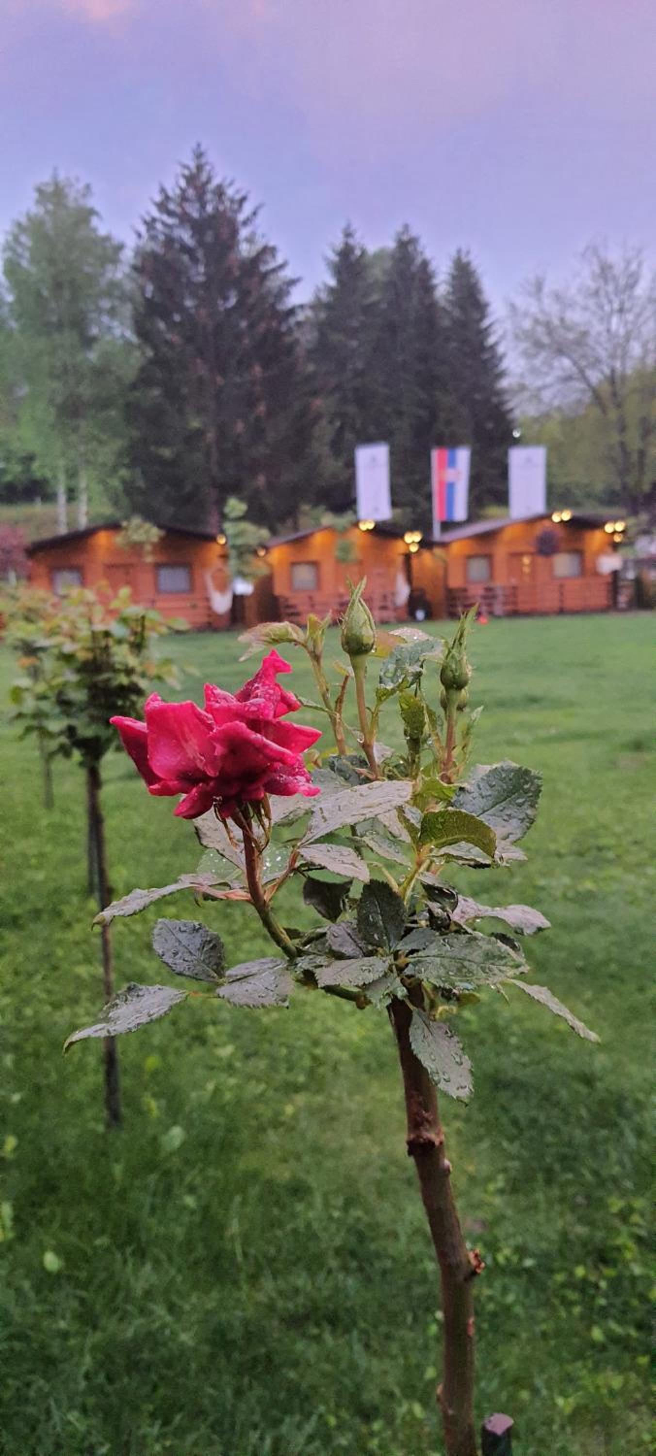 Photo 48