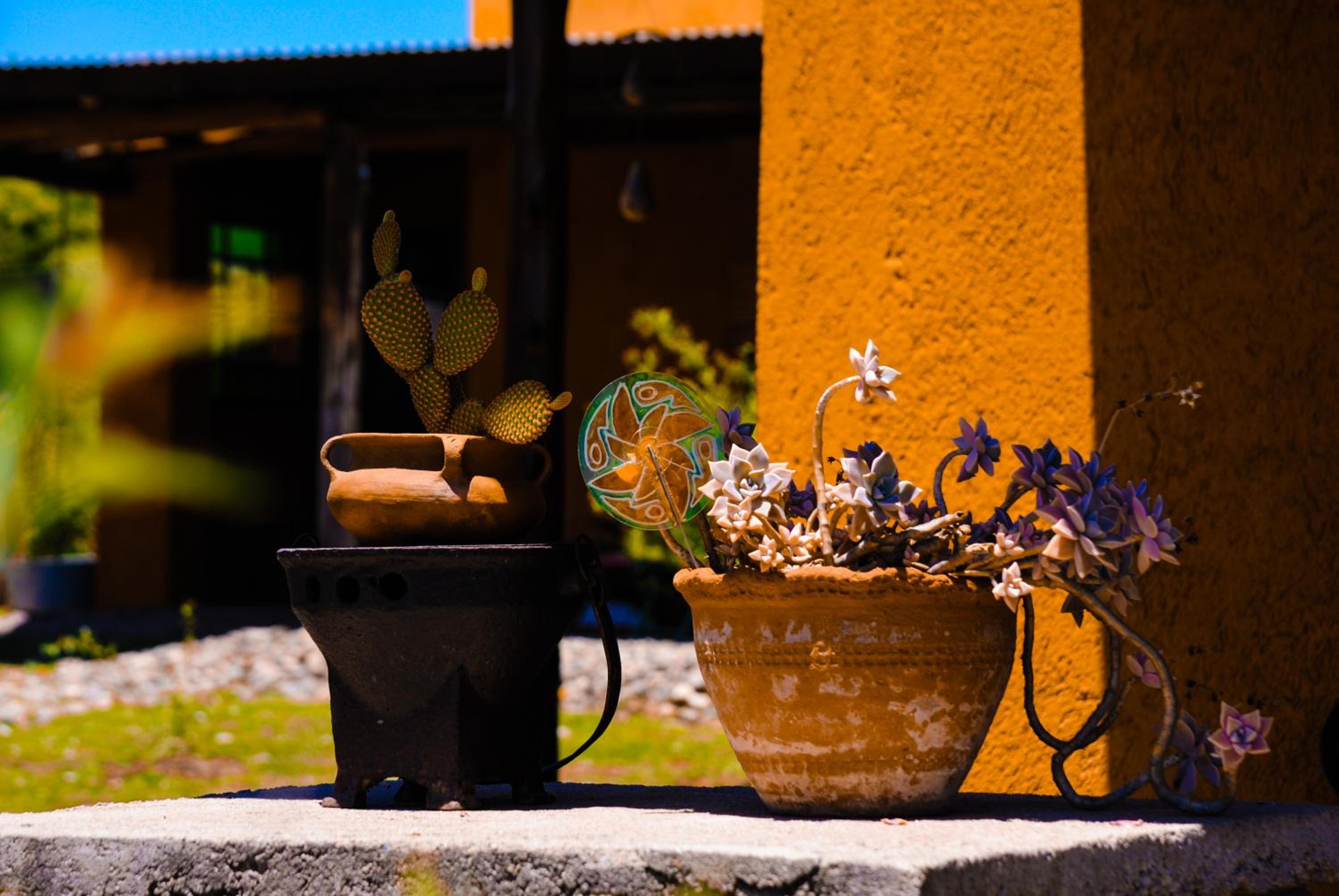 La Cambicha Ranchos