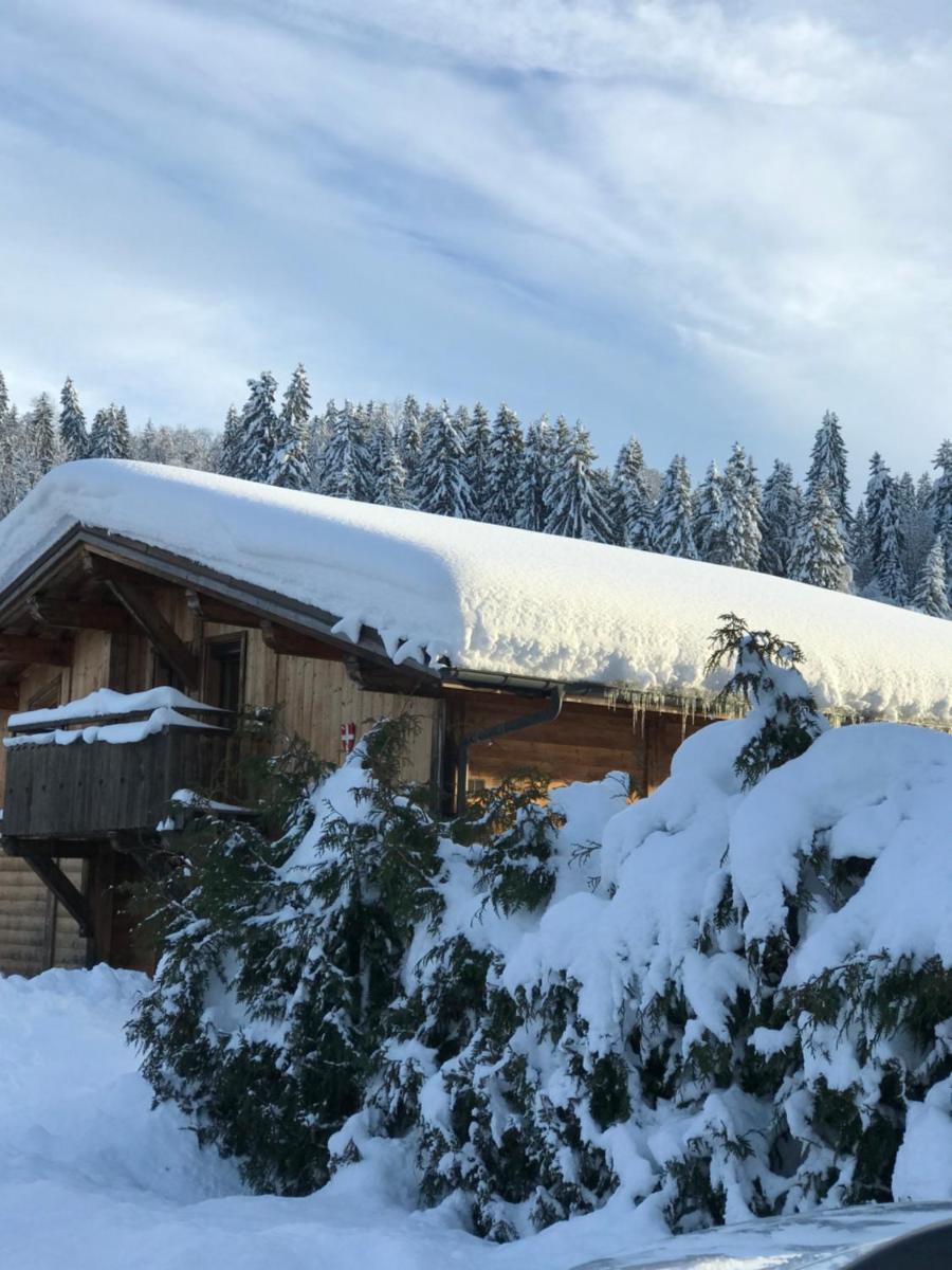 Chalet Du Pont D Arbon view 4