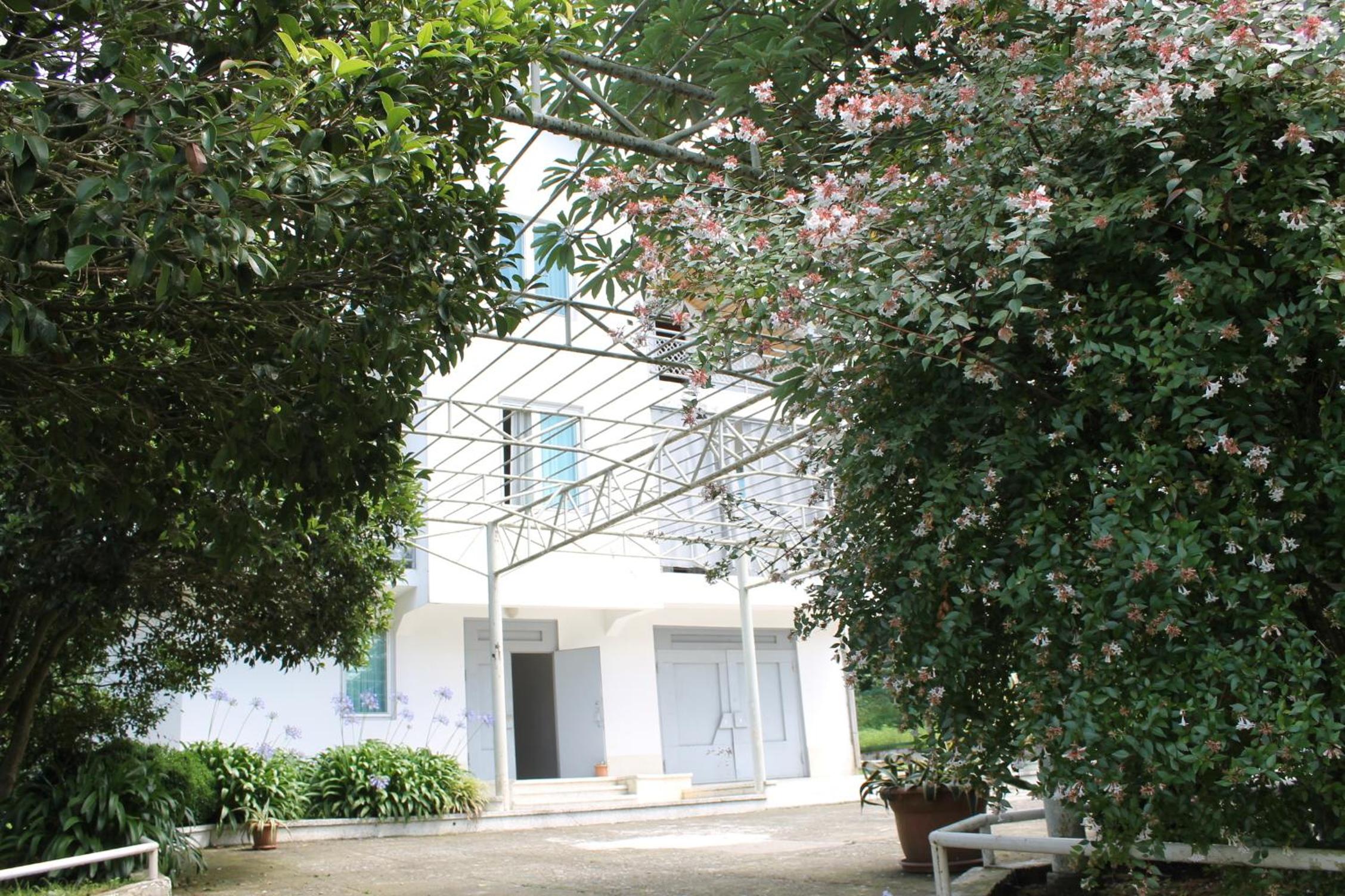 Photo 47