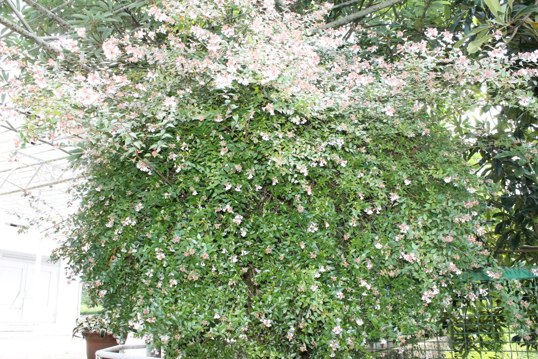 Photo 35