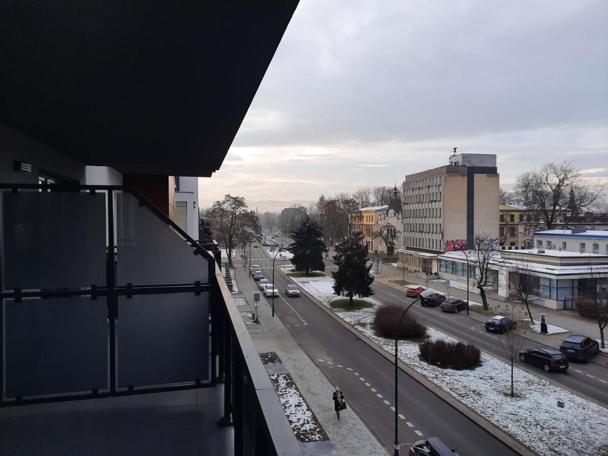 Apartament przy Plantach, photo 24
