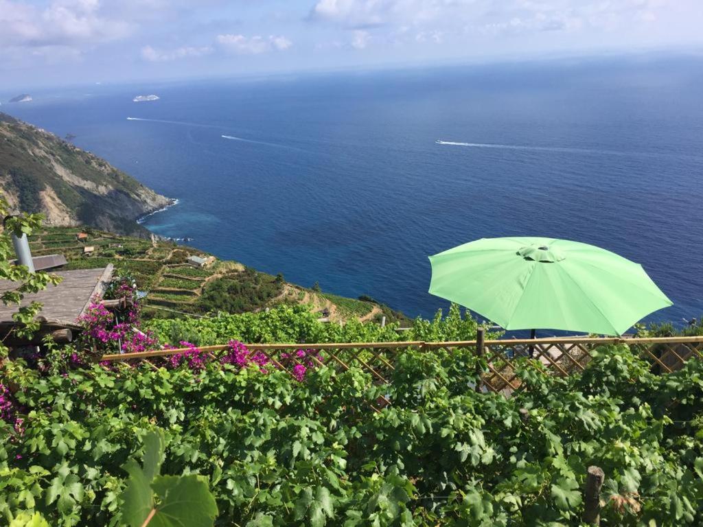 UWA Refuge organic Vineyard 5terre UNESCO