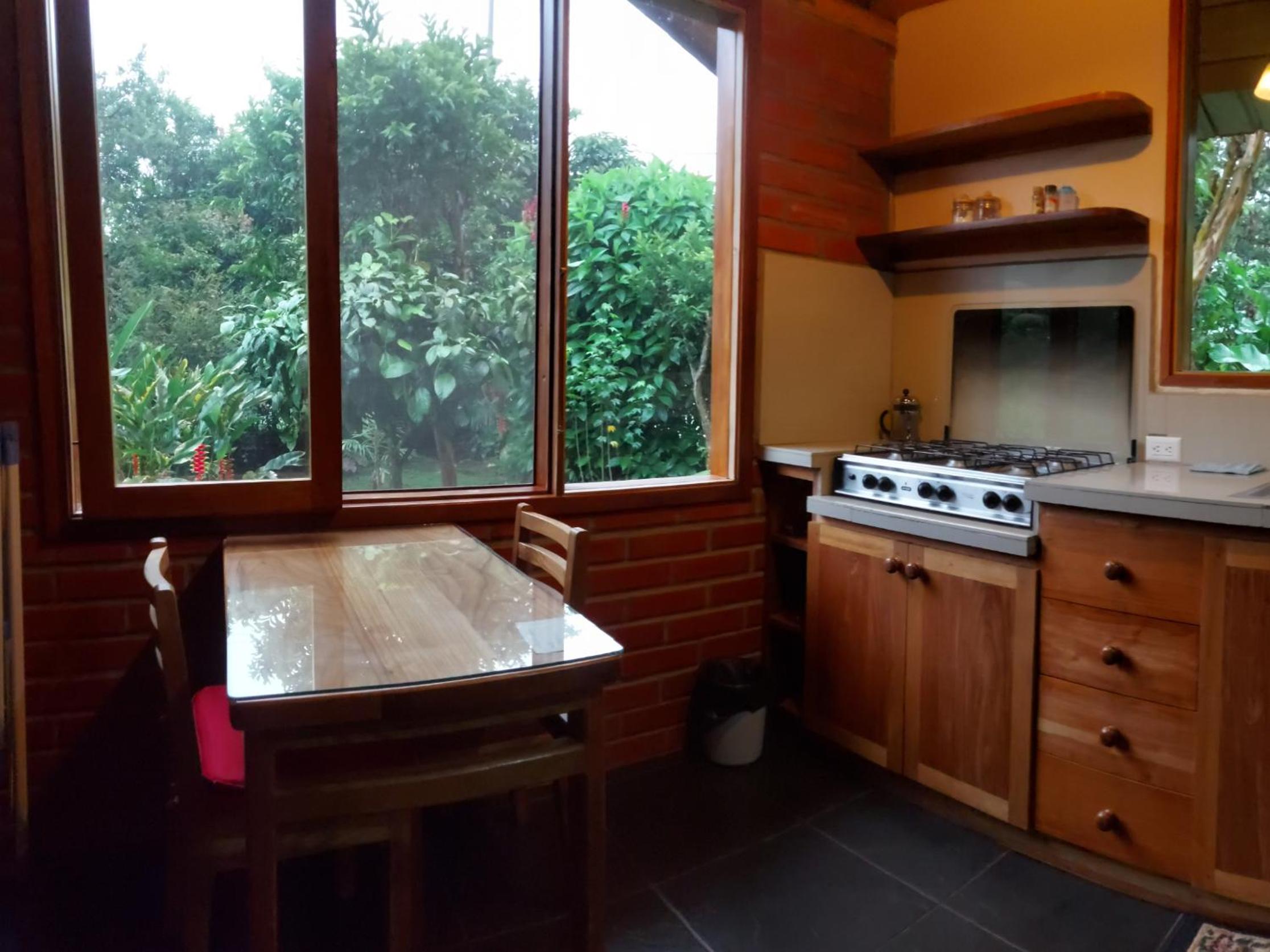 Bird Lover's House view 4