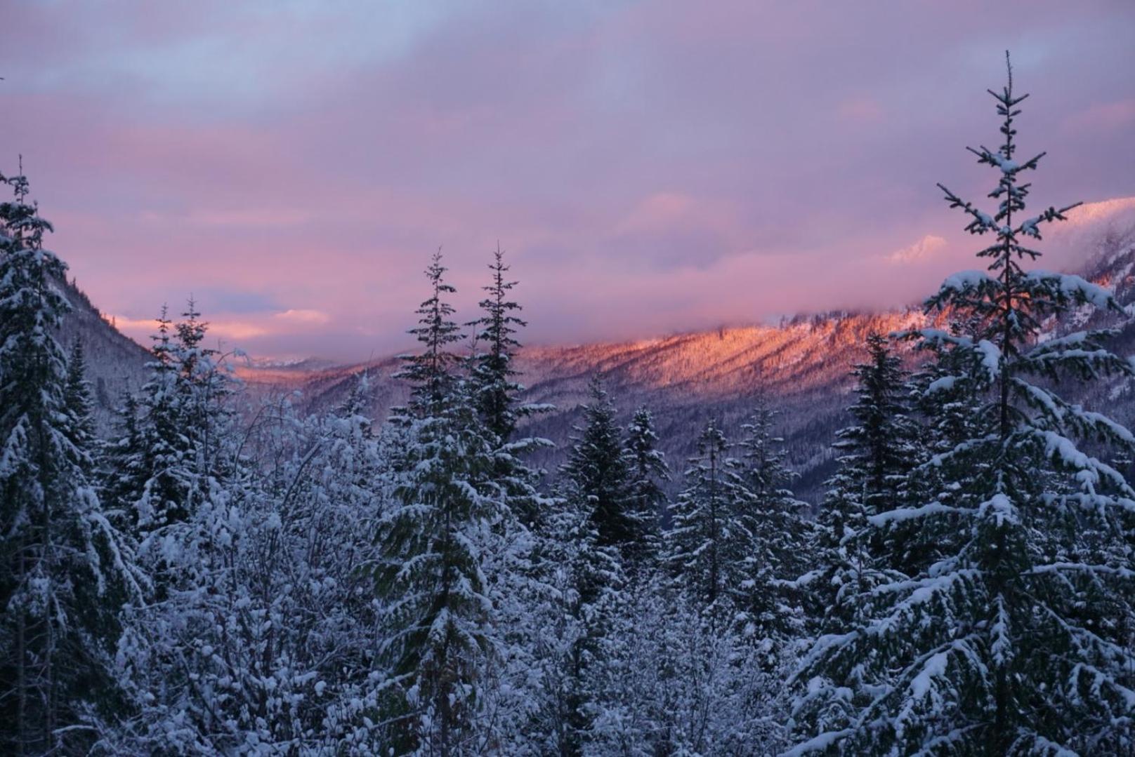 Hot Tub Cool Views: Roaring Creek Cabin view 3