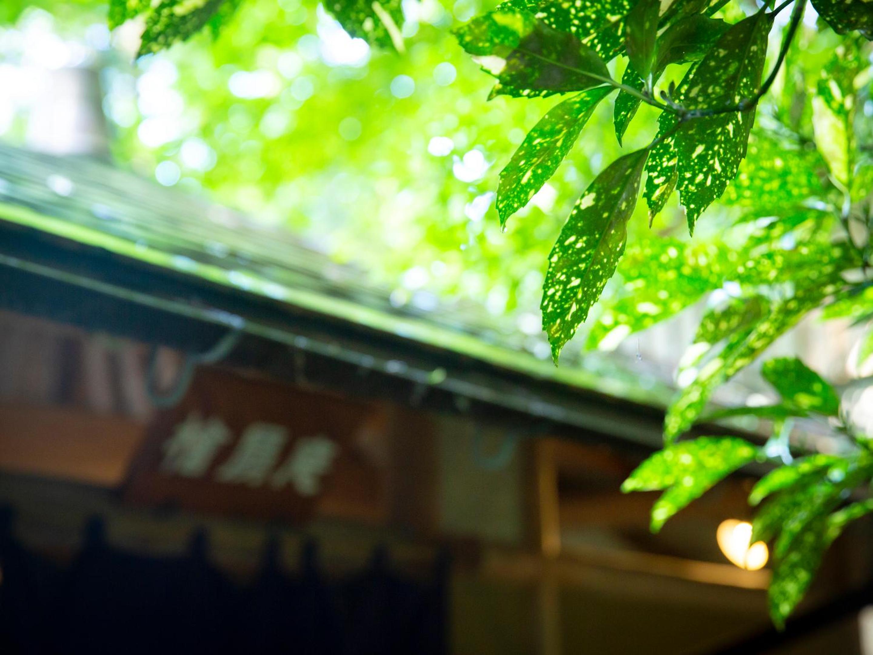 Ooedo Onsen Monogatari Miyoshiya
