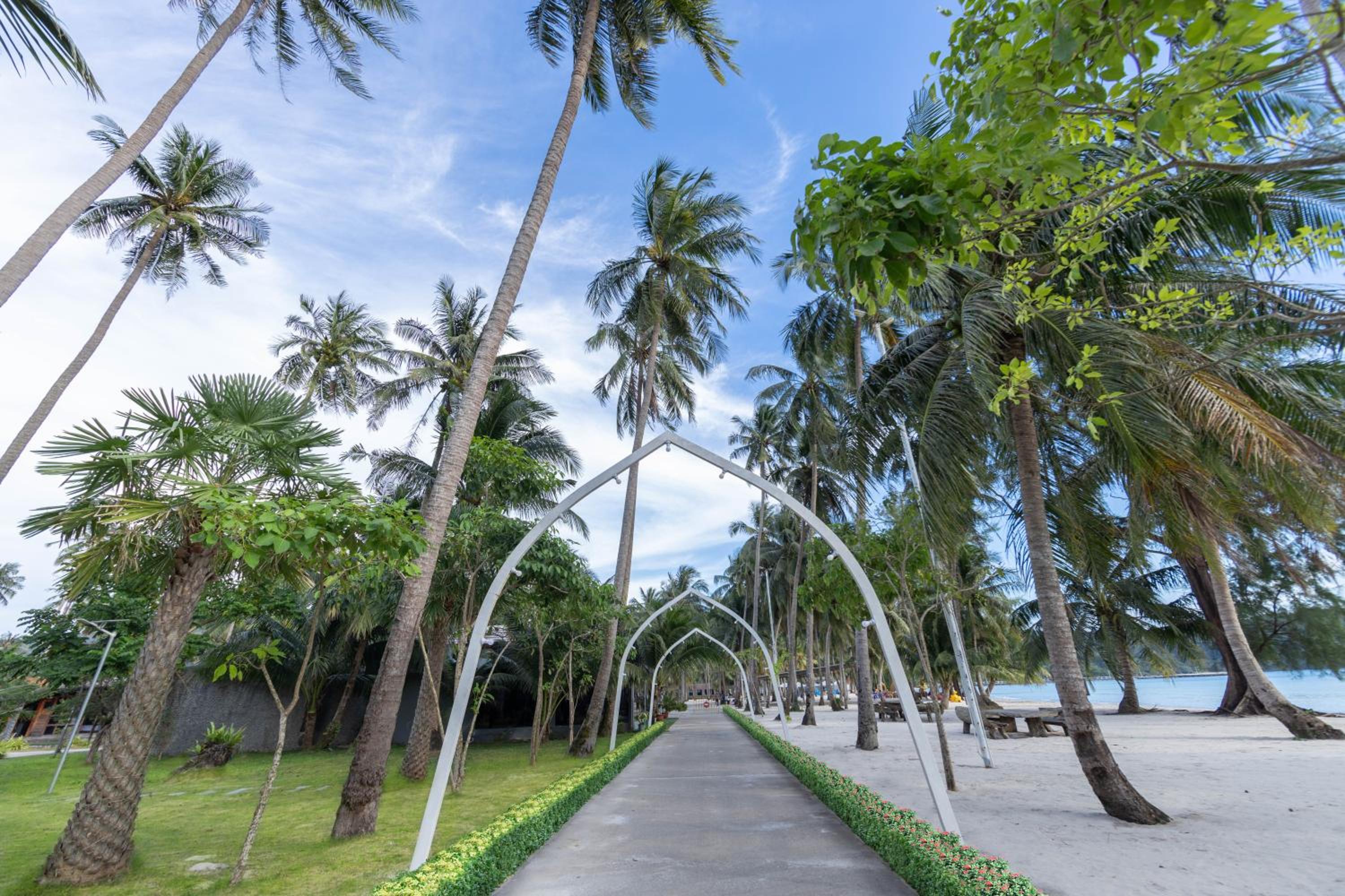 Mafiya Resort — photo 16