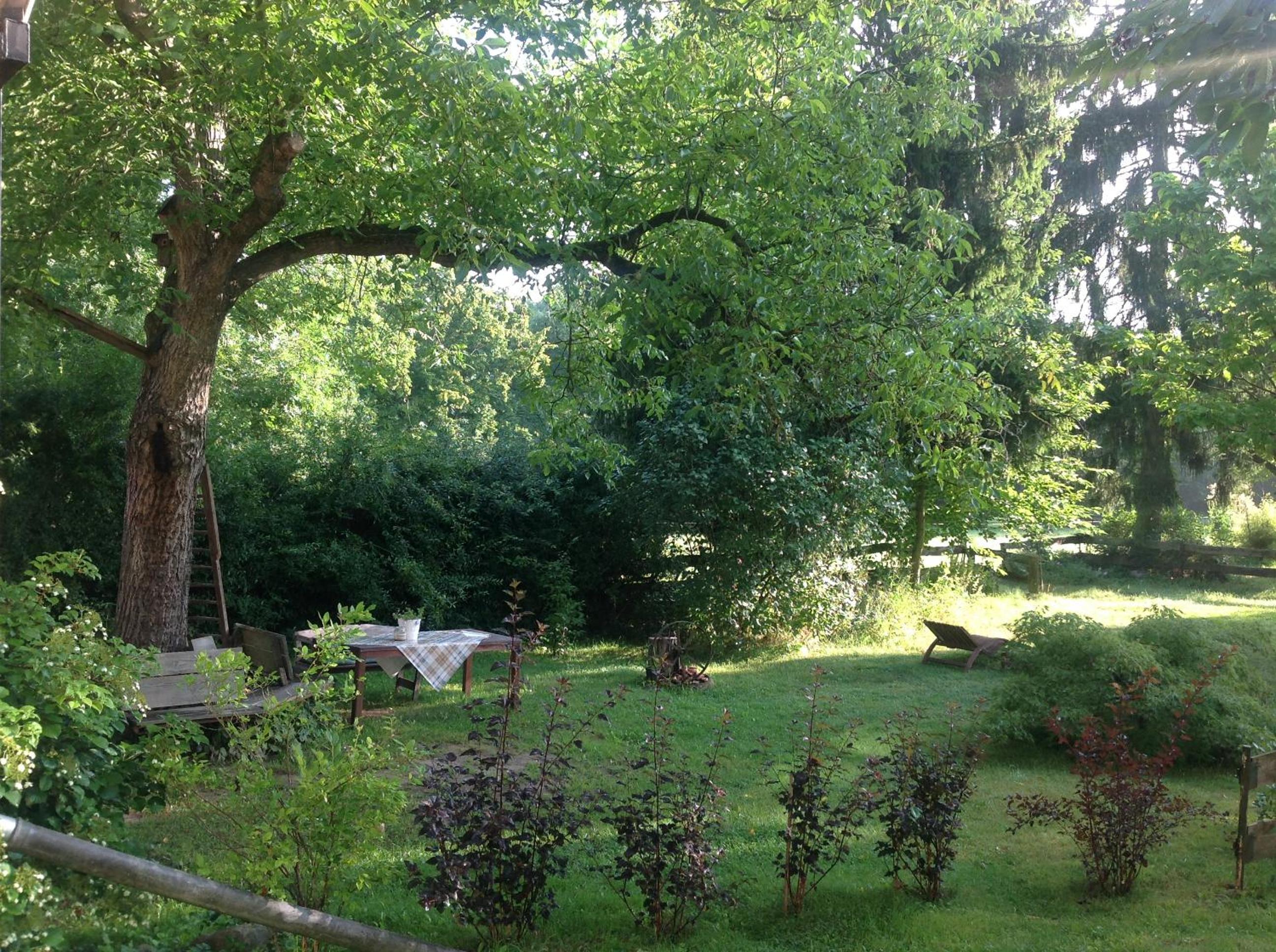 Photo 22