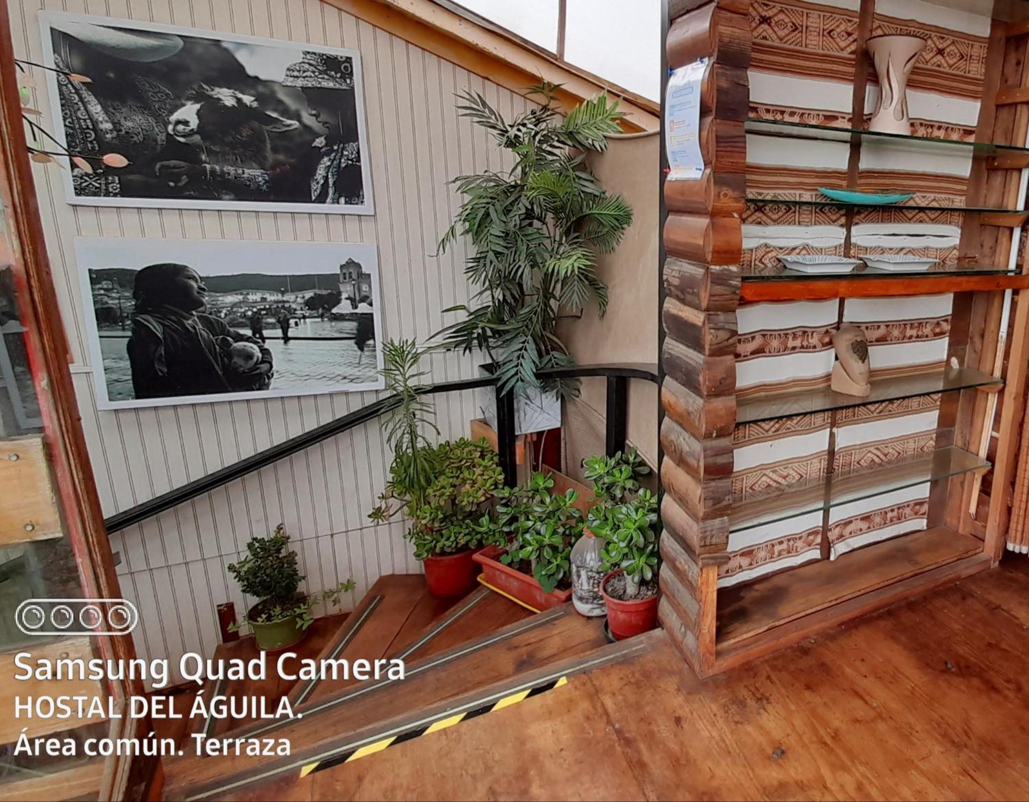 Hostal del Aguila