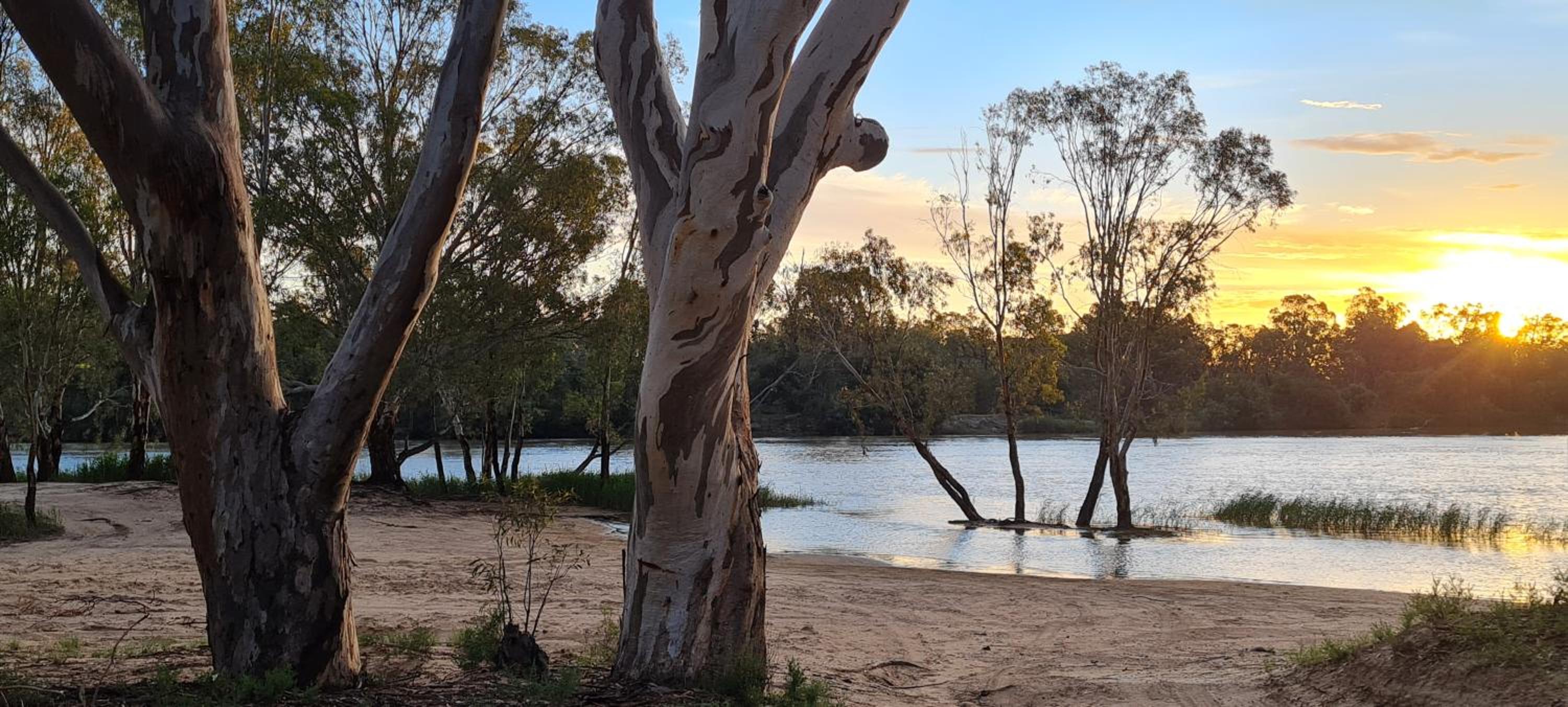 Riversands Rest Accommodation Paringa - Coobah Cottage