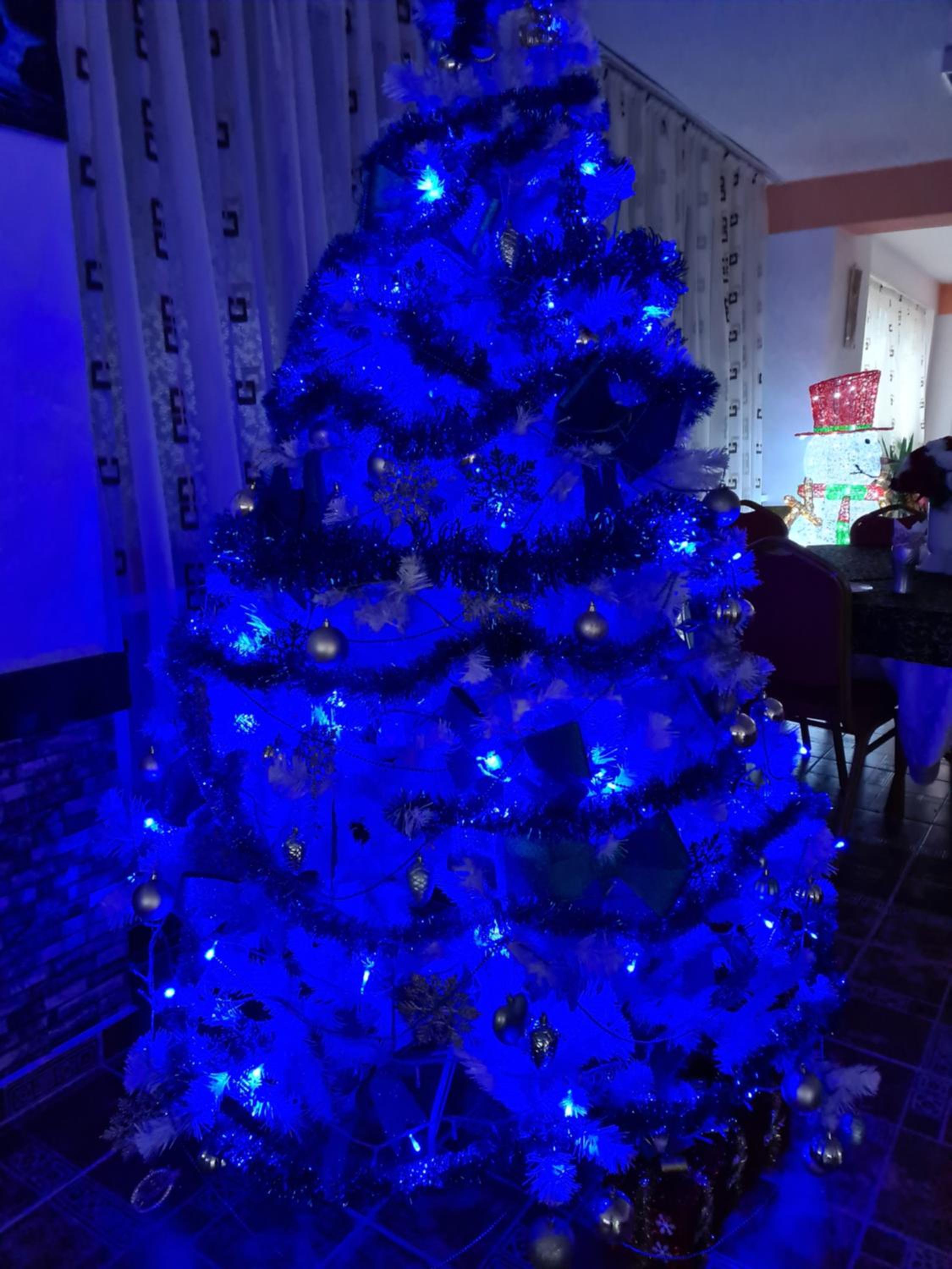 Photo 43