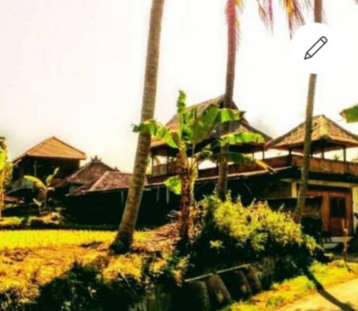Pondok Diana view 2